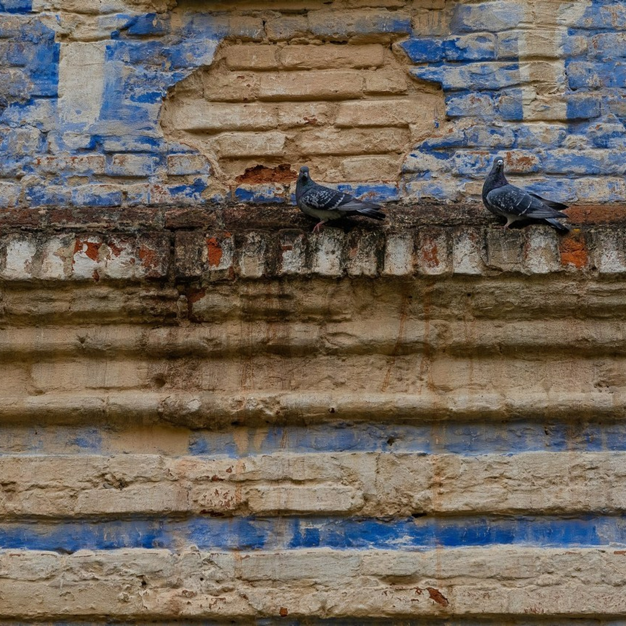 Отзывы. Фотограф Виталий Верескун. Козельск-Калуга