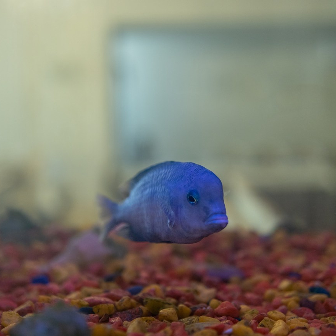 Отзывы. Фотограф Виталий Верескун. Козельск-Калуга