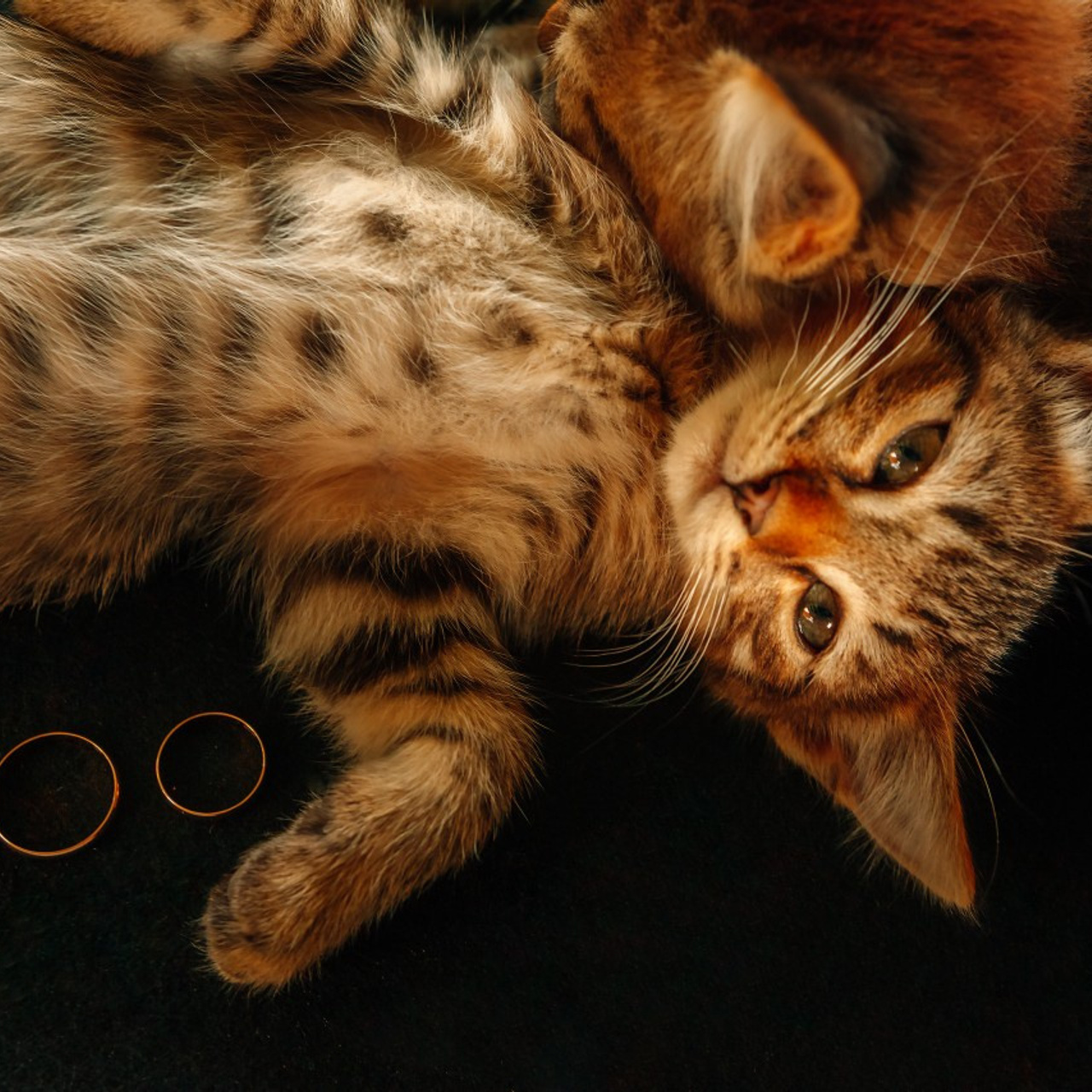 Алексей&Алёна