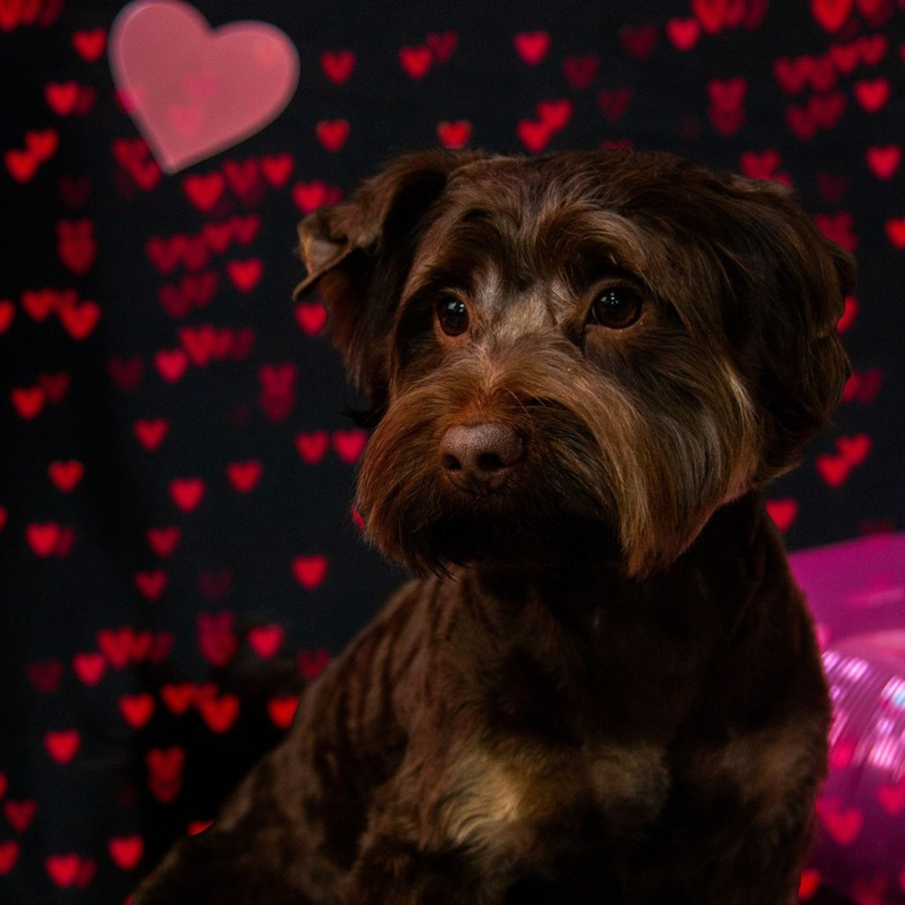 Отзывы. Фотограф в Нижнем Новгороде Екатерина Хисматулина