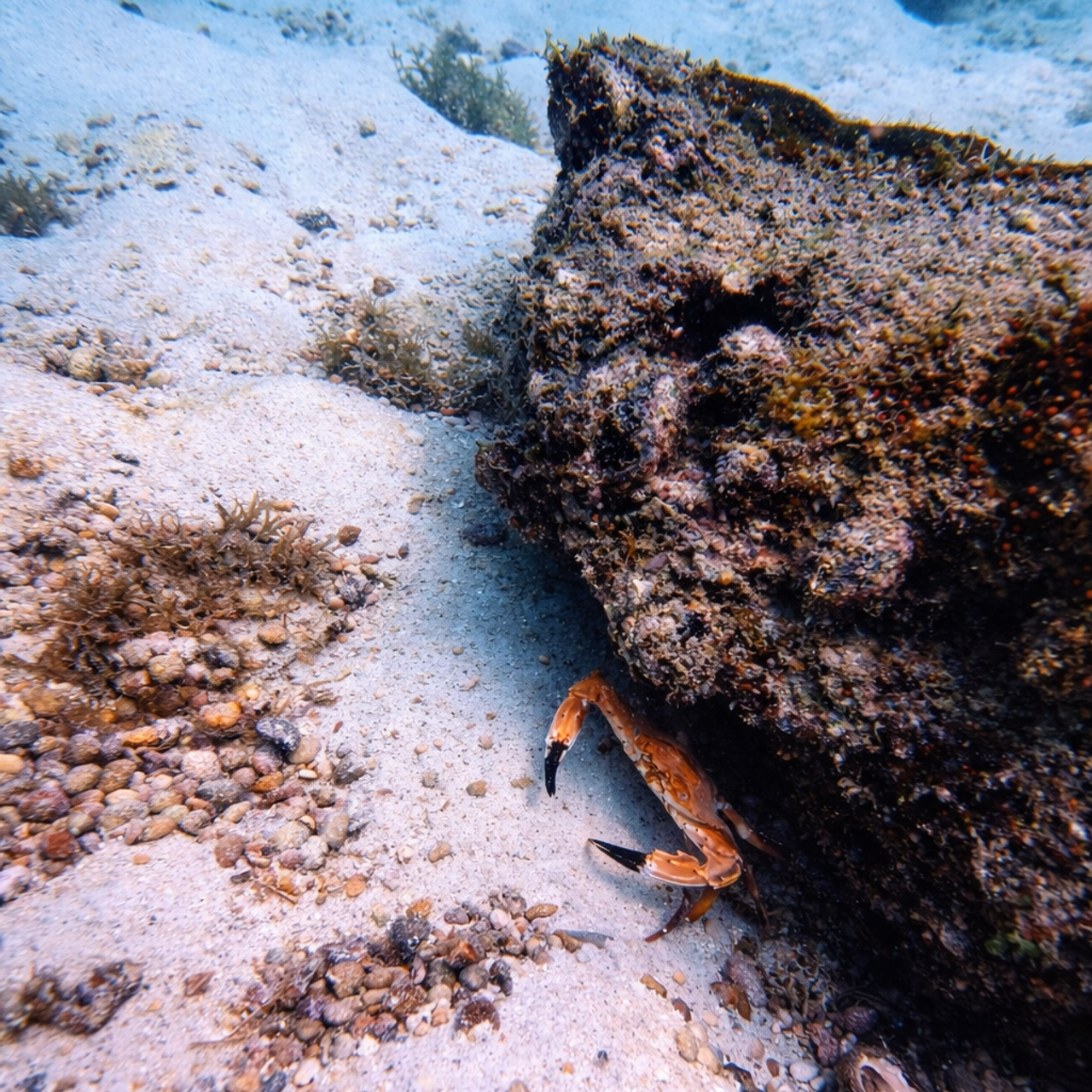 Дайвинг во Вьетнаме. Индивидуальные Экскурсии