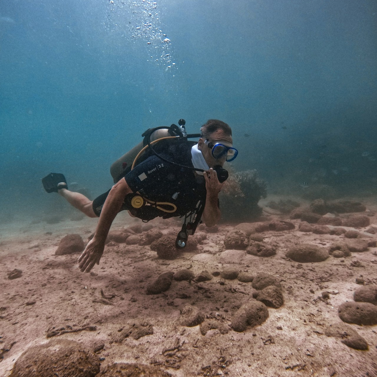 Отзывы. Дайвинг во Вьетнаме