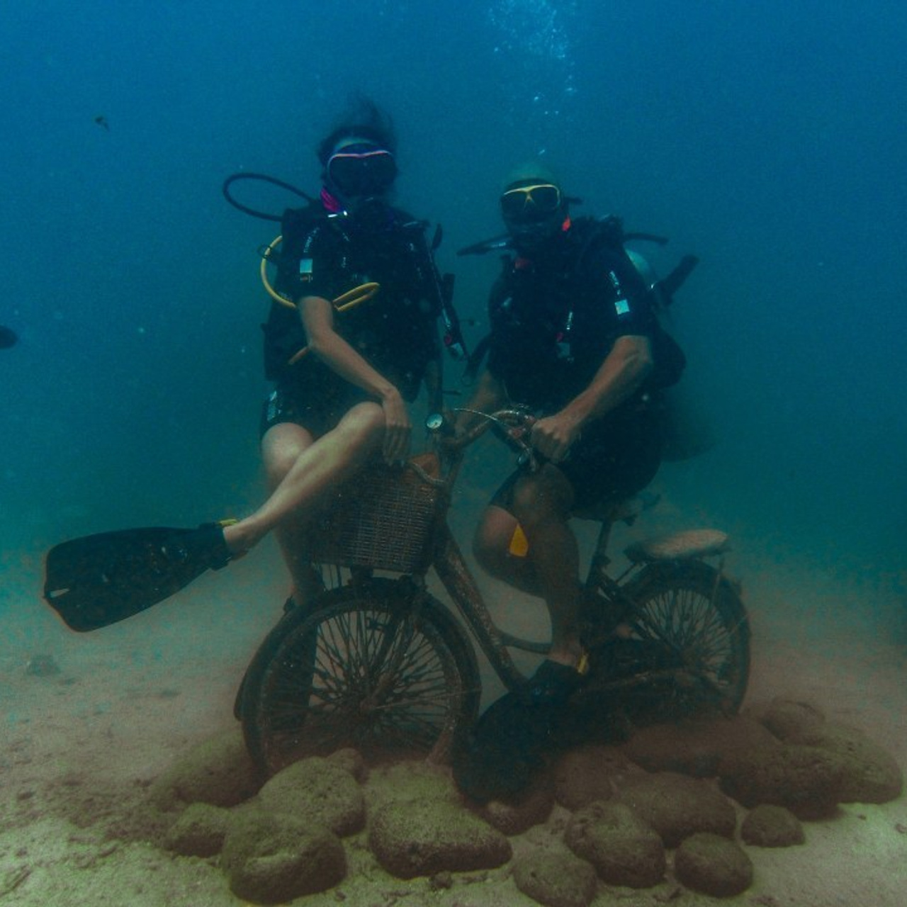 Отзывы. Дайвинг во Вьетнаме