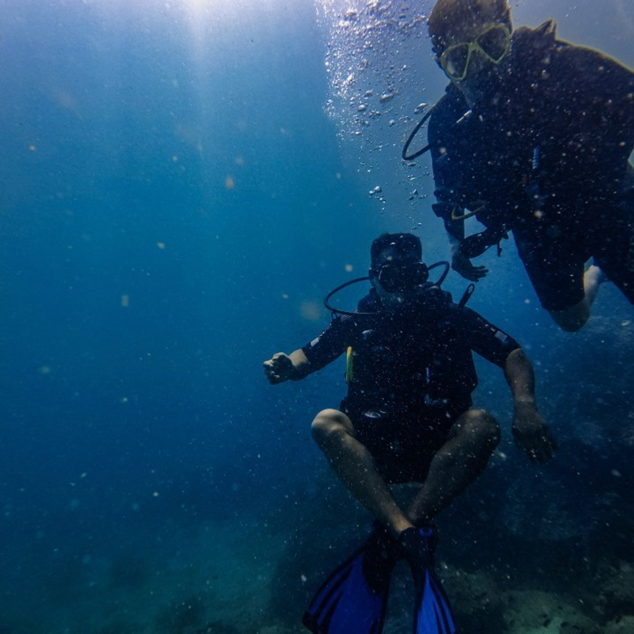 Отзывы. Дайвинг во Вьетнаме