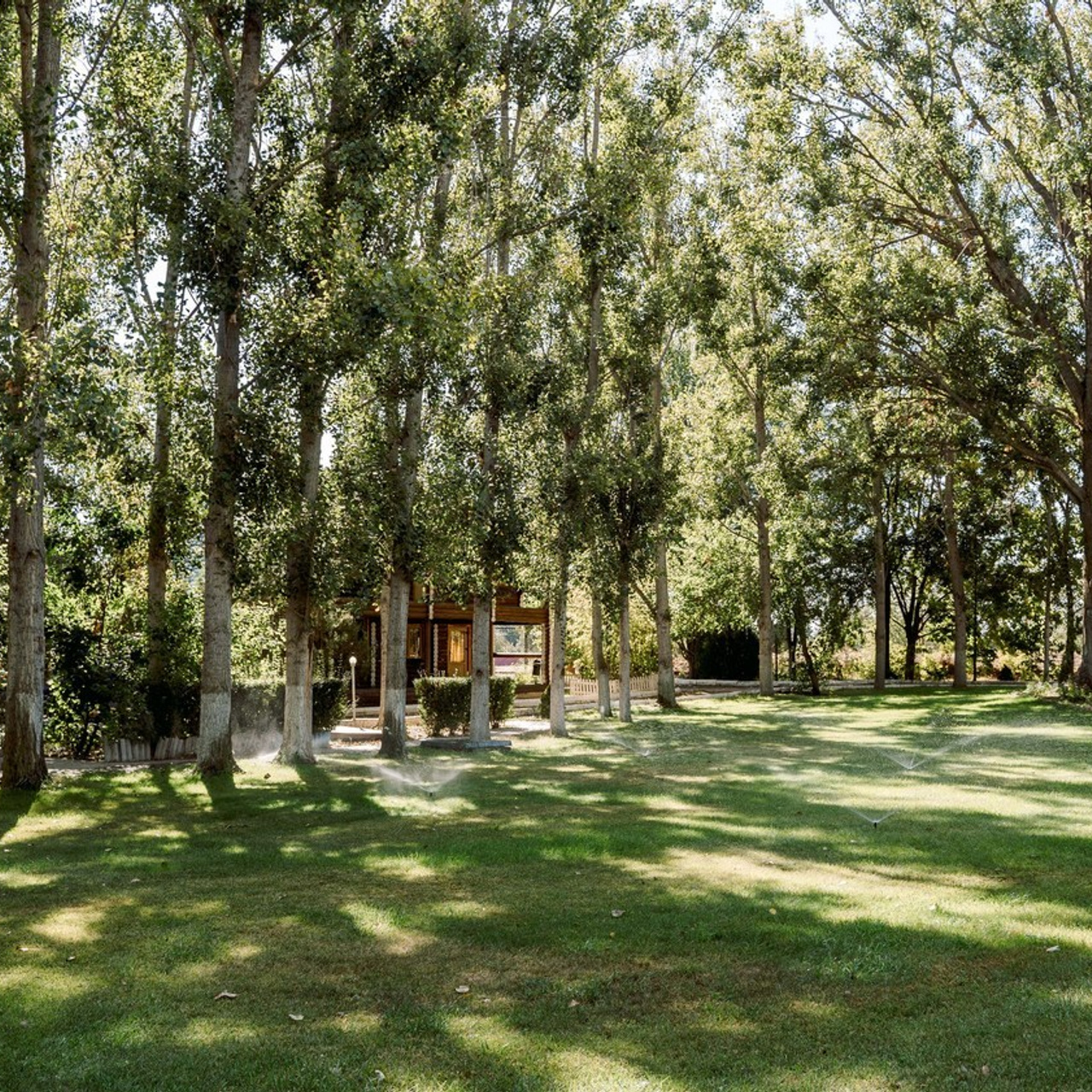 Отзывы. Свадебный фотограф в Астрахани Анна Шишкина