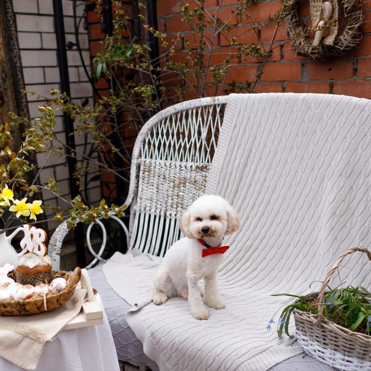 Отзывы. Свадебный фотограф, фотограф на крещение, фотограф на день рождения в Воронеже