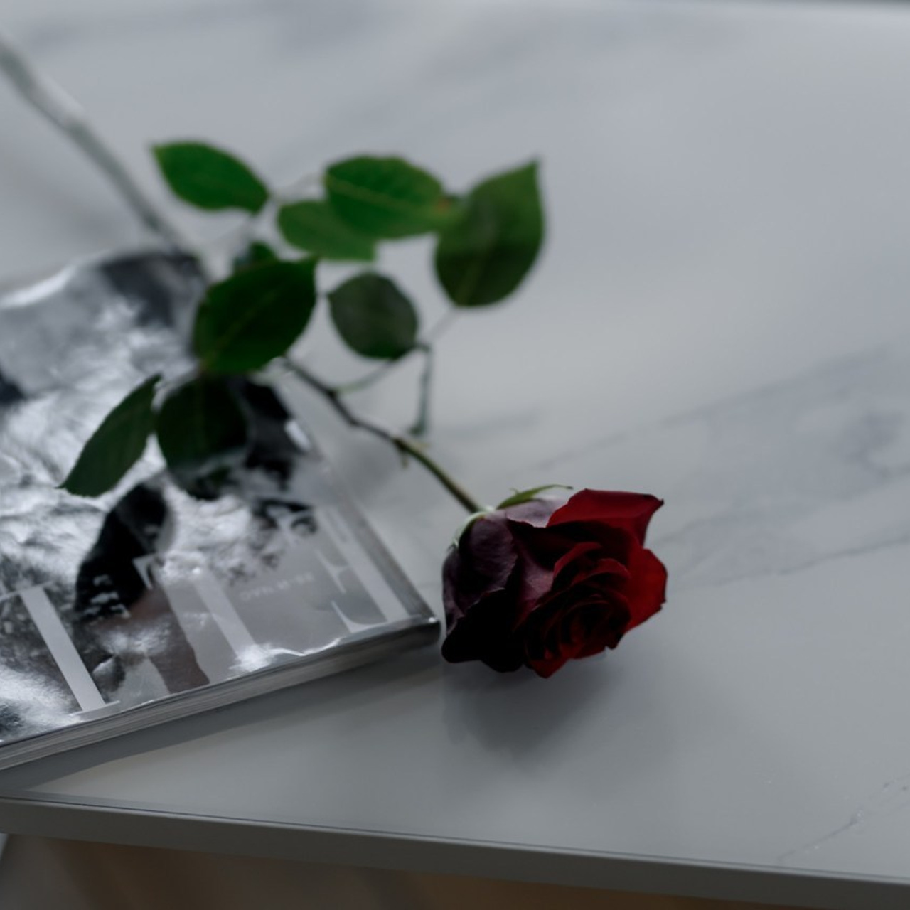 Отзывы. Фотограф Анна Абрикосова