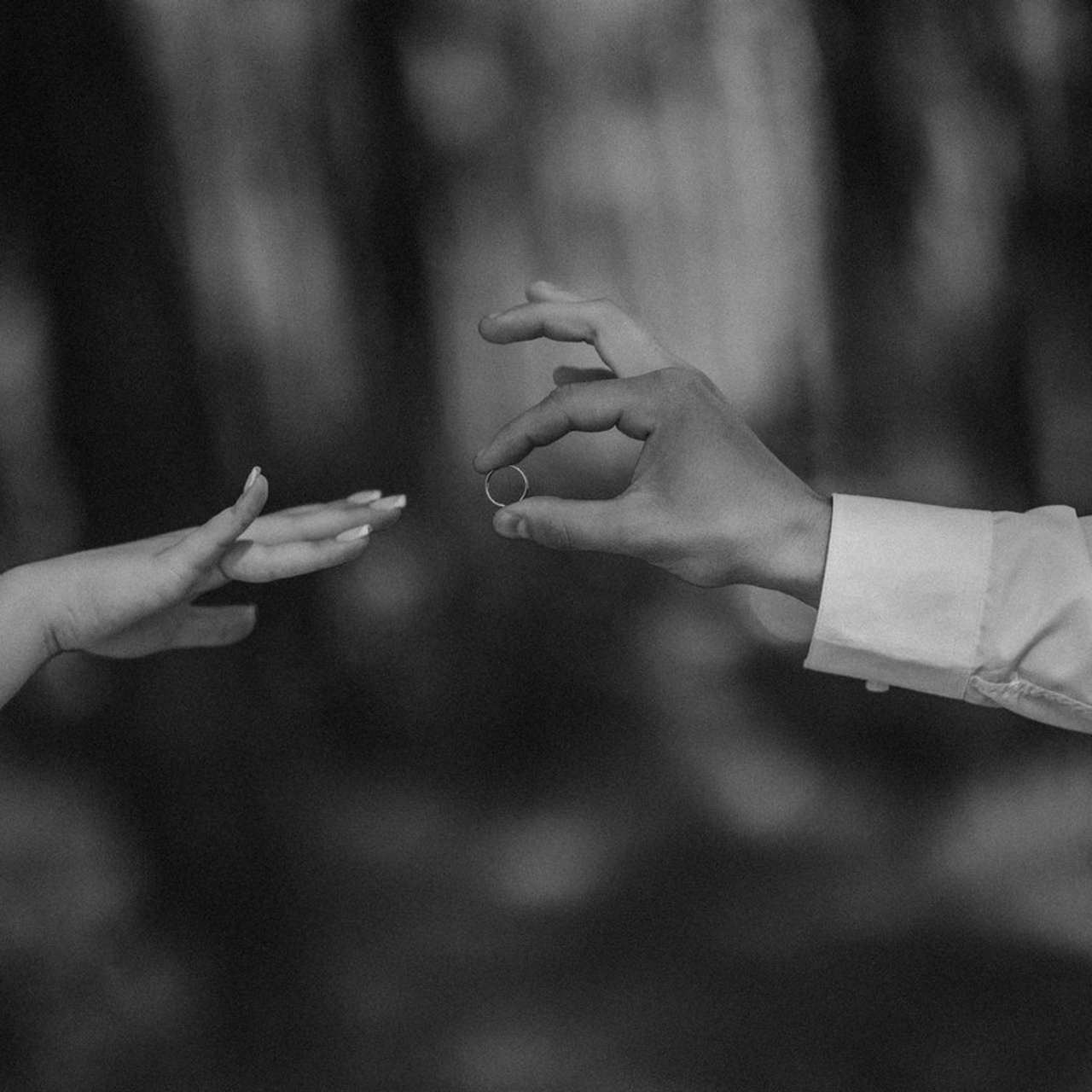 Отзывы. Фотограф Анна Абрикосова