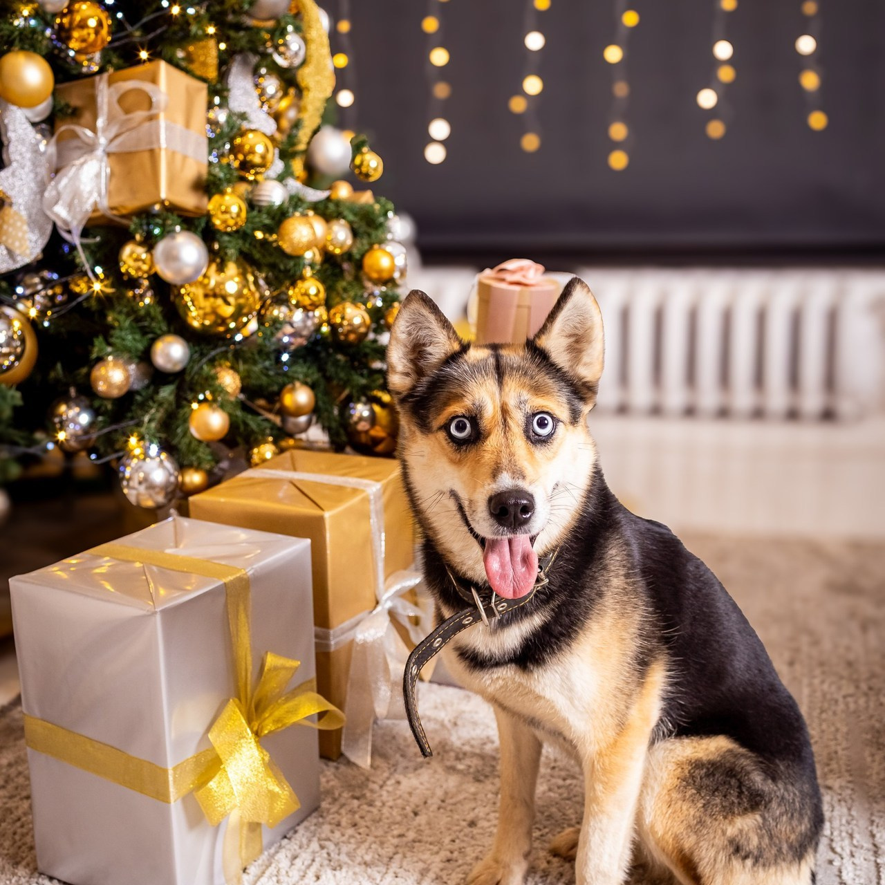 Отзывы. Фотограф Мартынова Елена