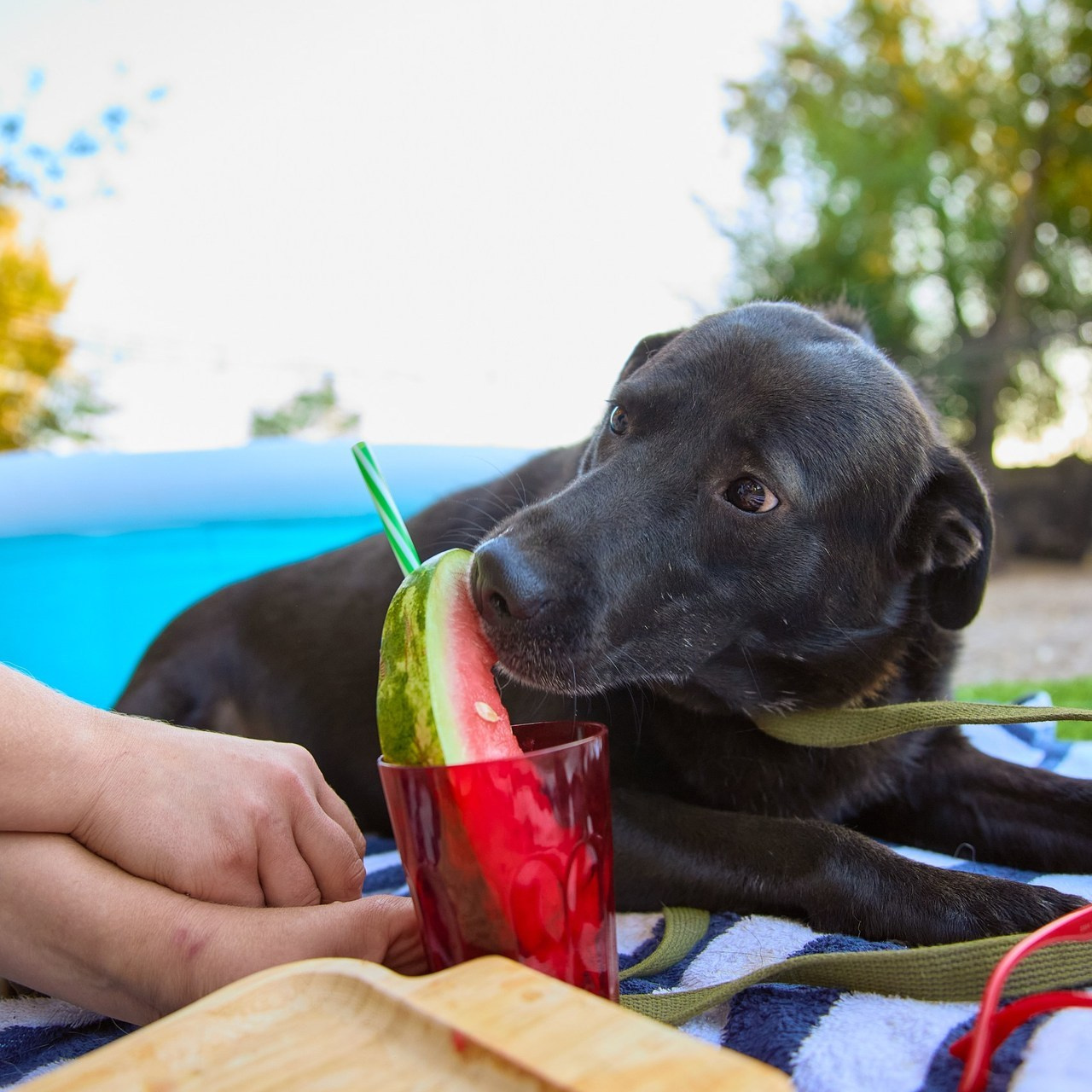 Интерьерная фотосъёмка в Волгограде. Фотограф интерьеров в Волгограде Дмитрий Соколов