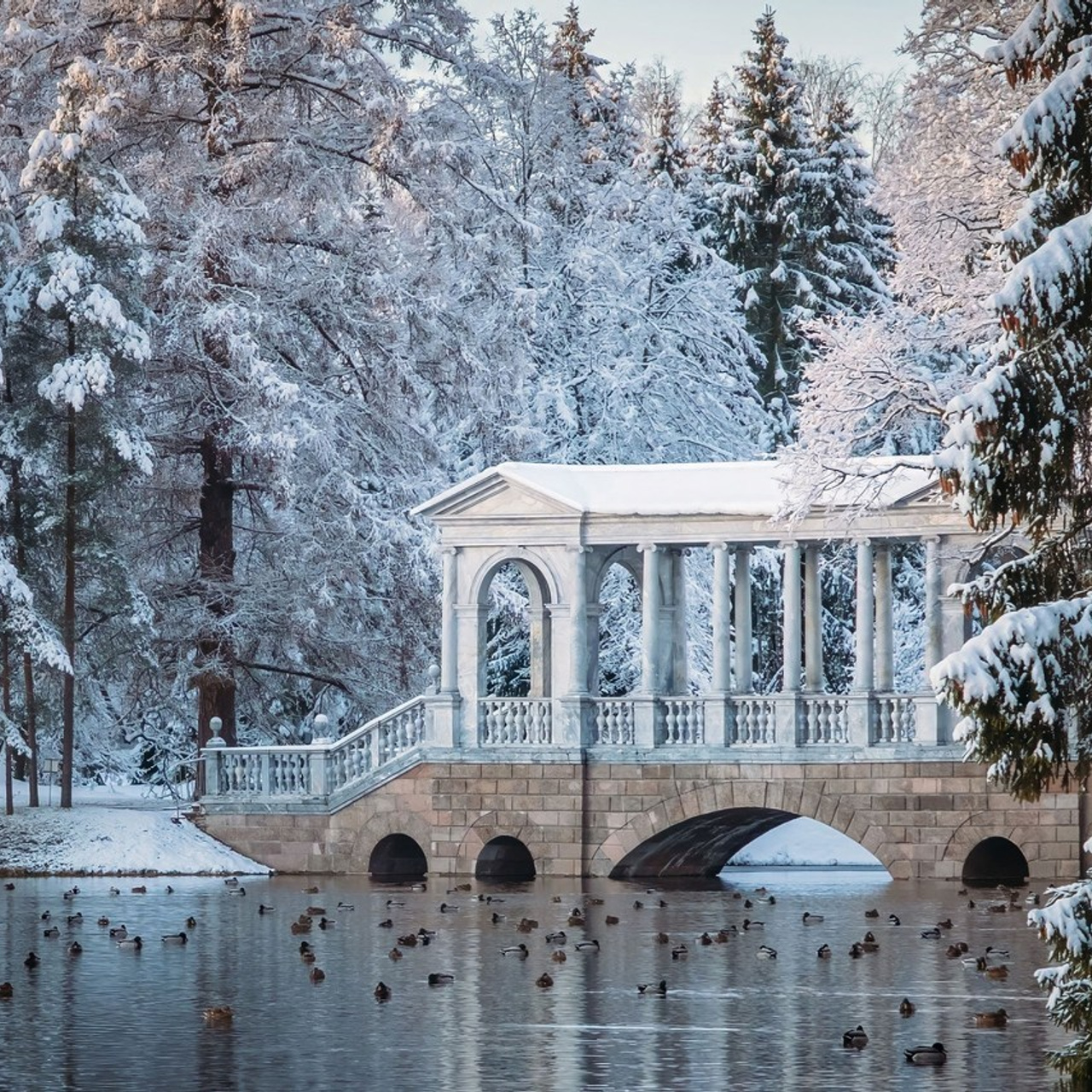 Отзывы. Фотограф и оператор Илья Гунбин