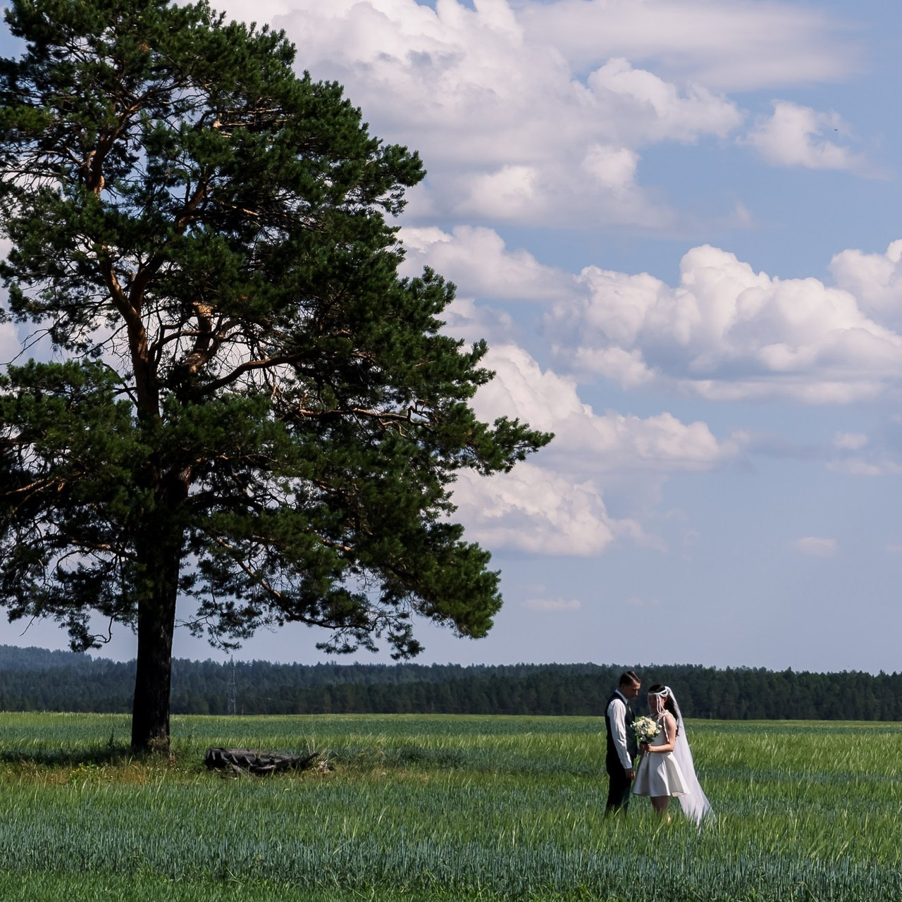 Отзывы. Свадебный Фотограф в Иркутске Екатерина Елисеева