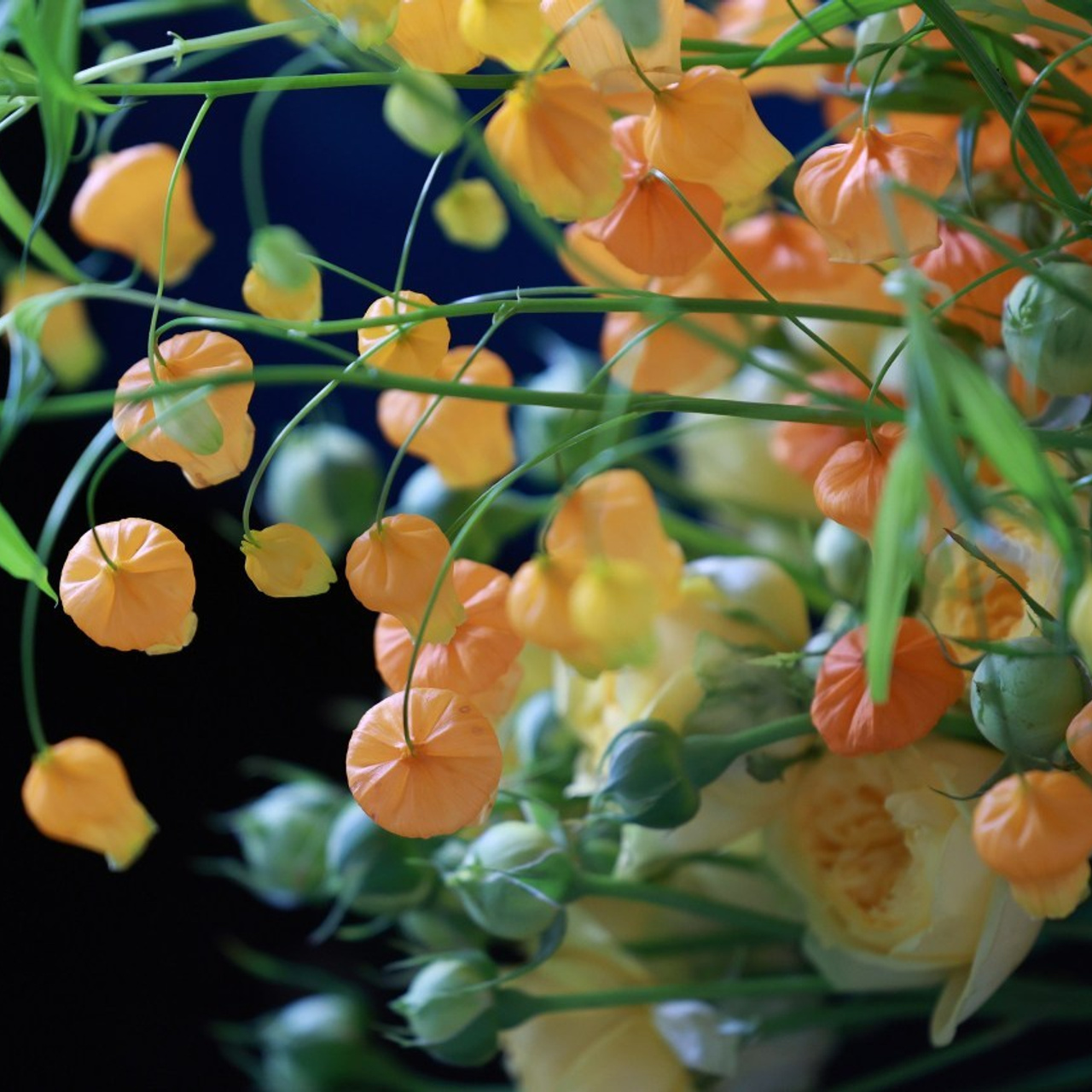 Отзывы. Фотографирую масштабные события, людей и их истории по всему миру. Константин Трубников