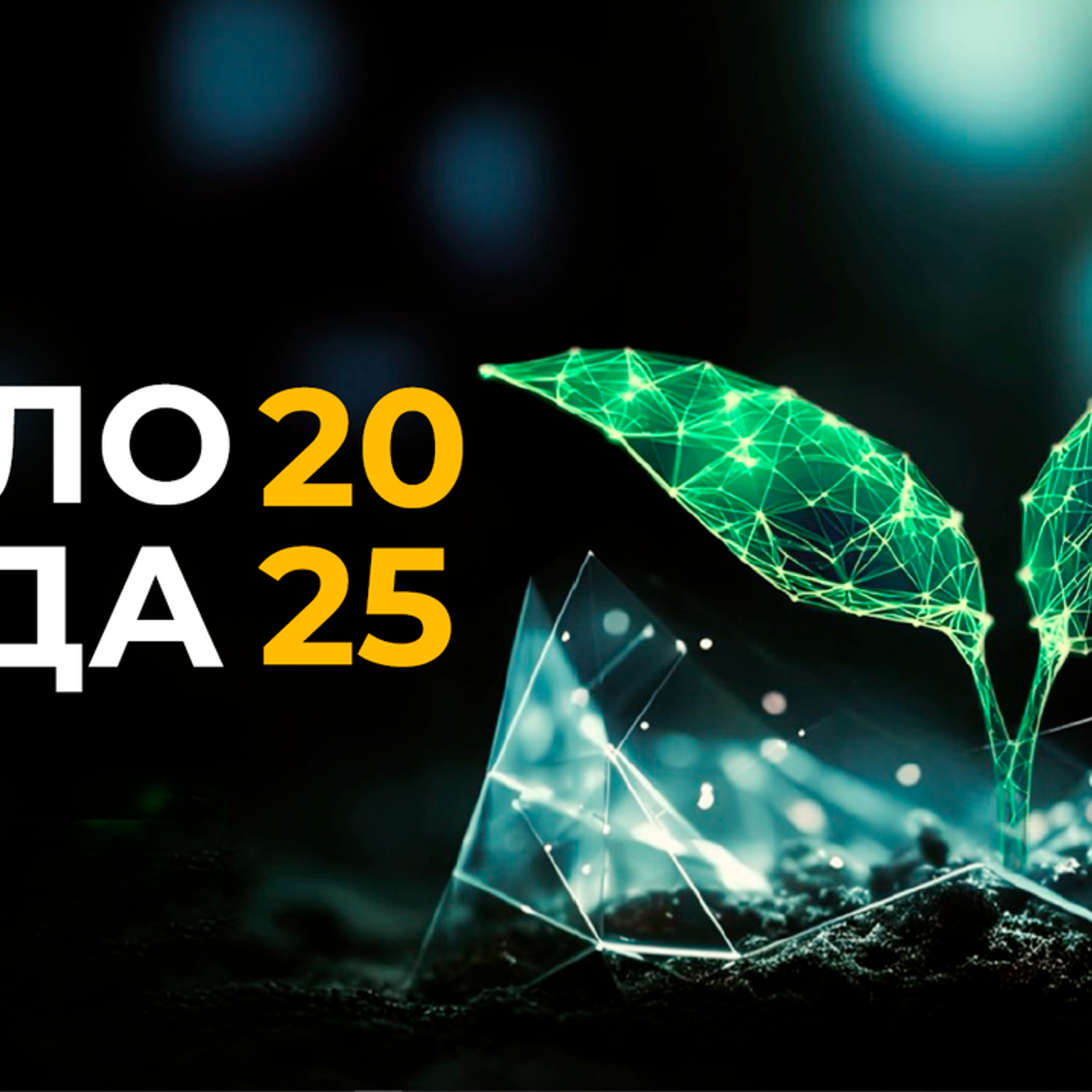 Отзывы. Фотографирую масштабные события, людей и их истории по всему миру. Константин Трубников