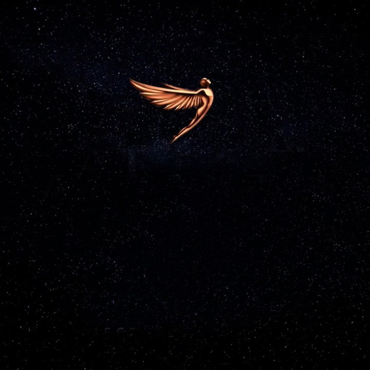 Отзывы. Фотографирую масштабные события, людей и их истории по всему миру. Константин Трубников