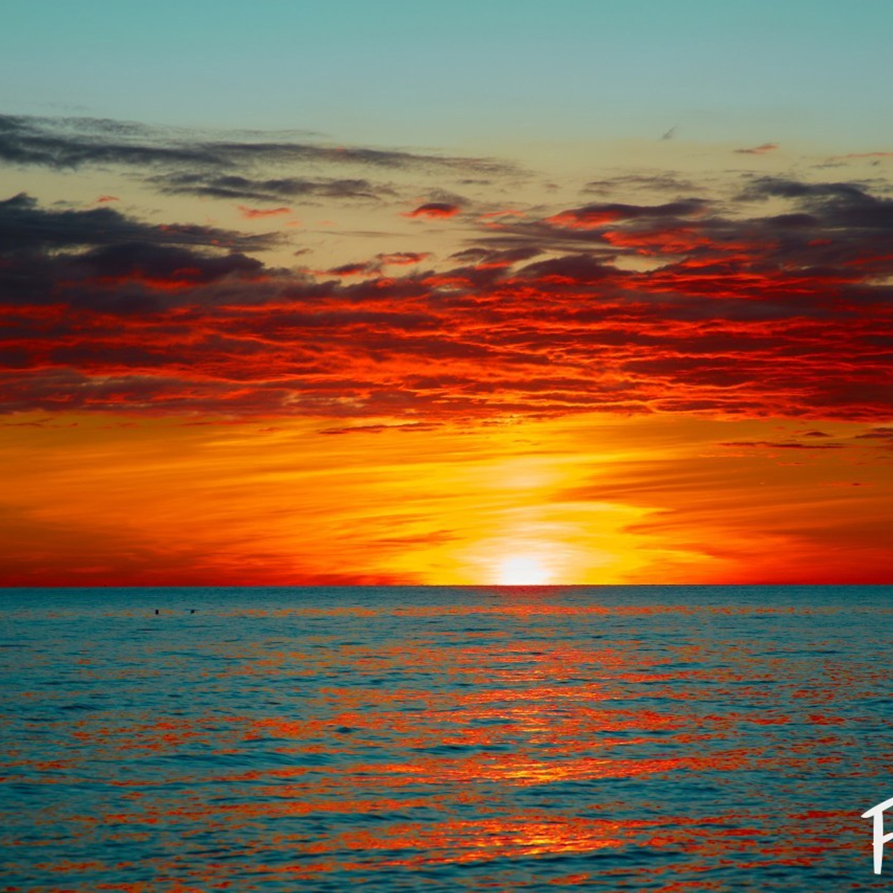 Отзывы. Свадебный фотограф