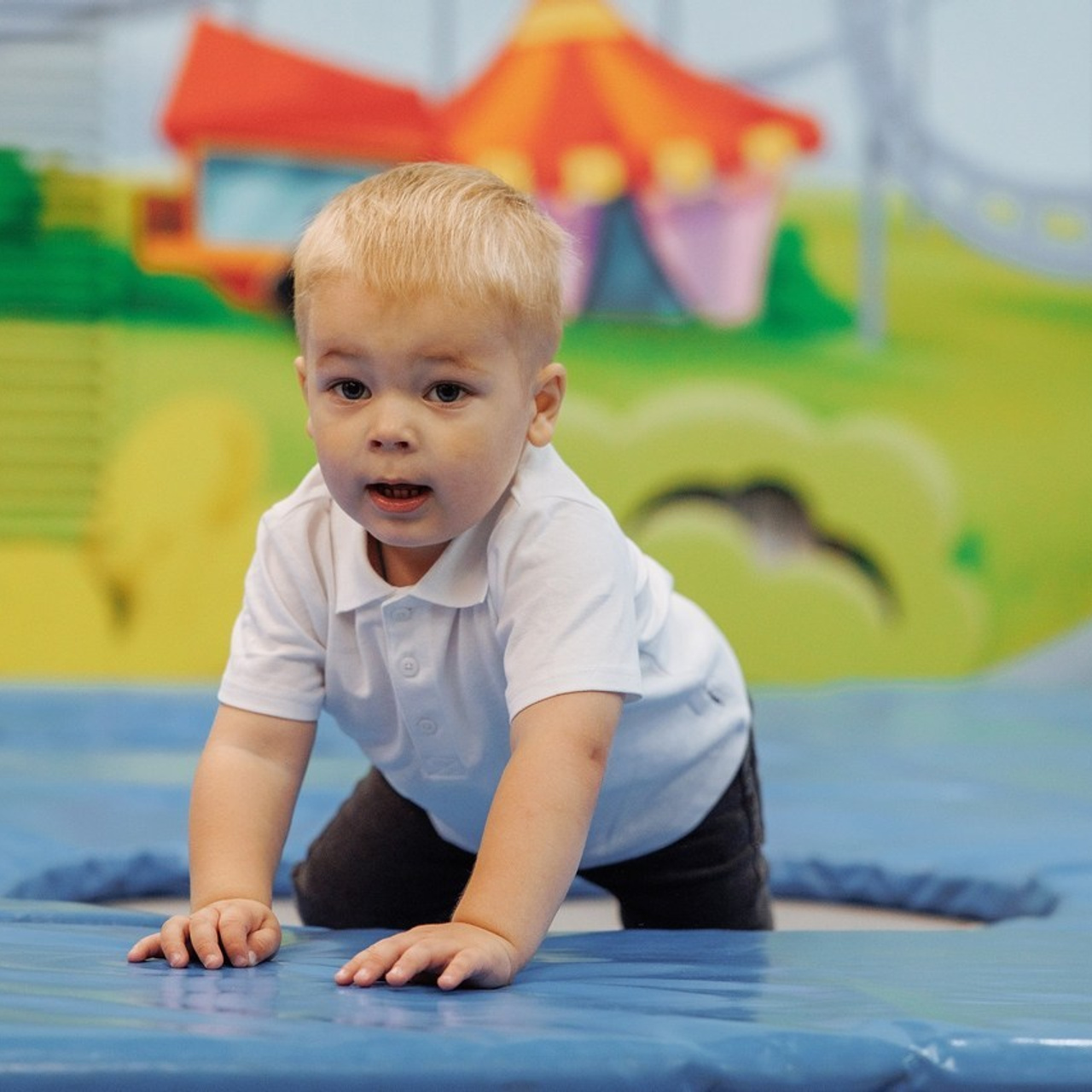 Отзывы. Фотография