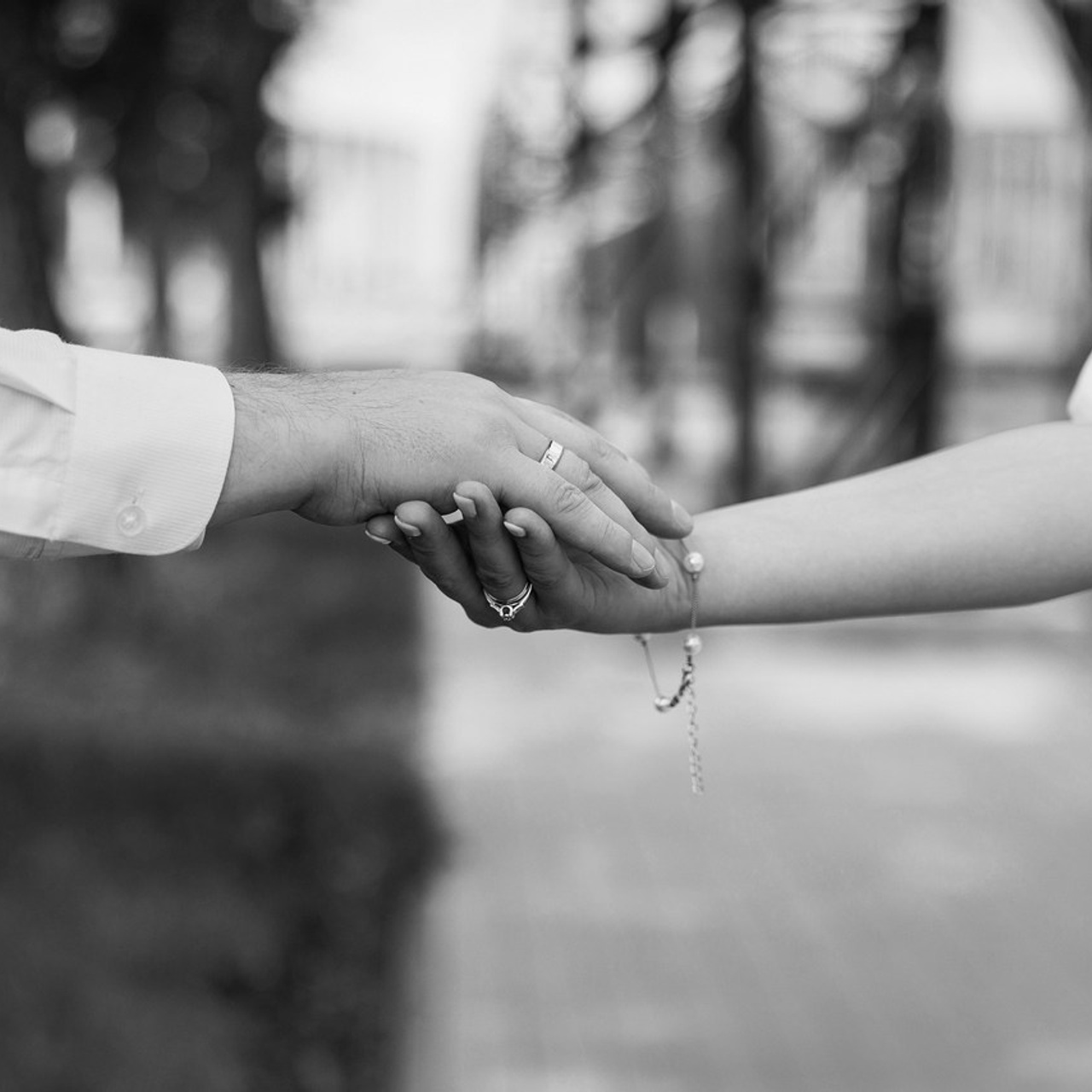 Отзывы. Фотография