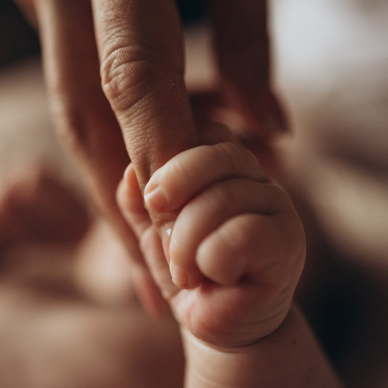 Отзывы. Фотограф Елена Рябцева