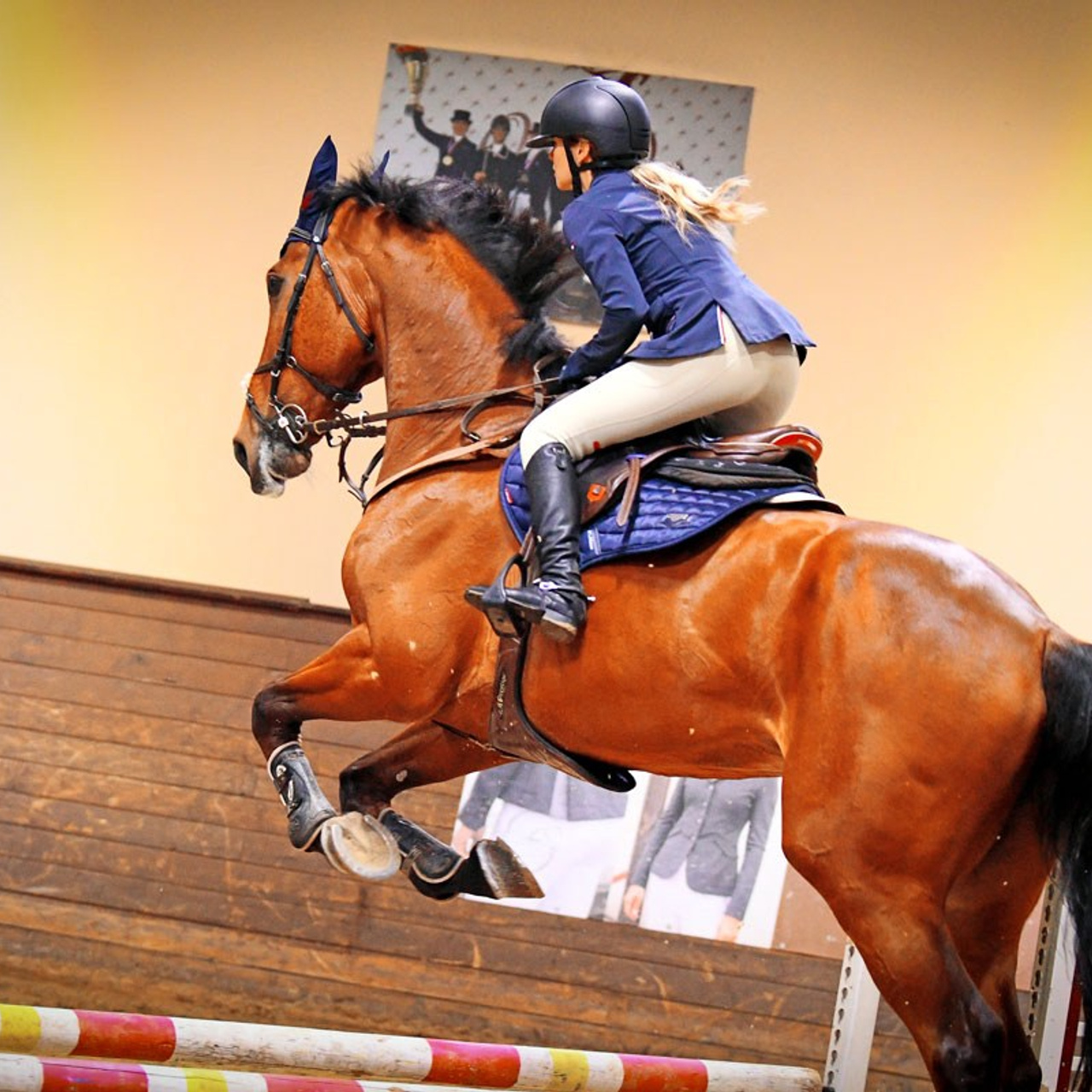 23.11.2024 — Открытые соревнования на призы КСК «Отрада» по конкуру