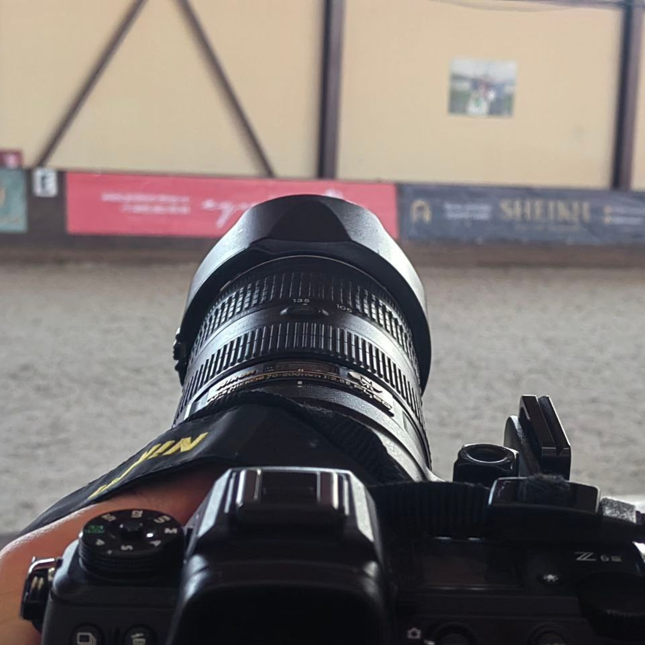 2025.03.29 — Кубок КСК «Отрада» по выездке в помещении