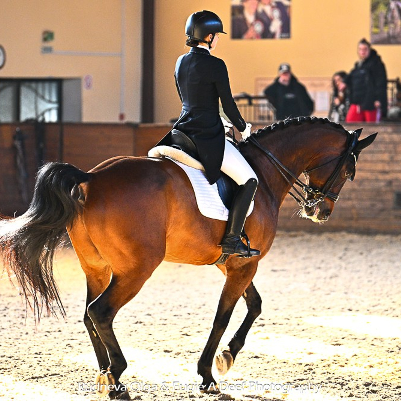ТУРНИРНАЯ КОННАЯ ФОТОГРАФИЯ, Руднева Ольга и Евгений Адеев