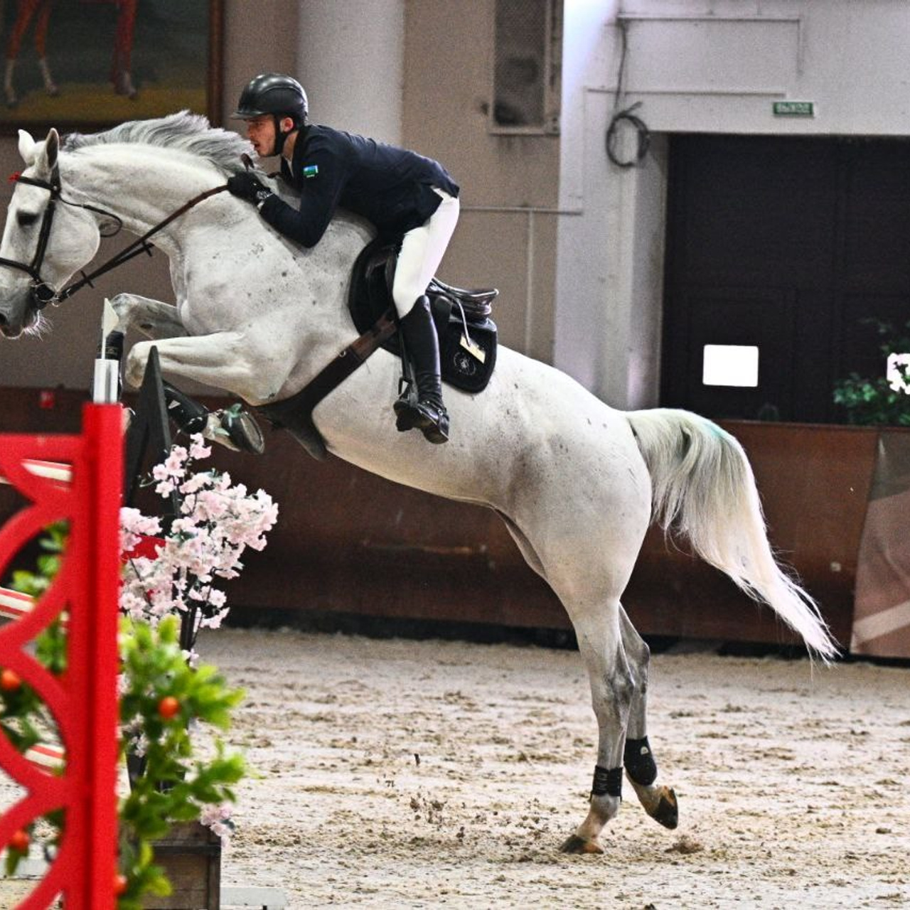 2026-03-20 КСК «ВИВАТ, РОССИЯ!» ПЕРВЕНСТВО (КОМ) МОСКВЫ ПО КОНКУРУ. ТУРНИРНАЯ КОННАЯ ФОТОГРАФИЯ, Руднева Ольга и Евгений Адеев