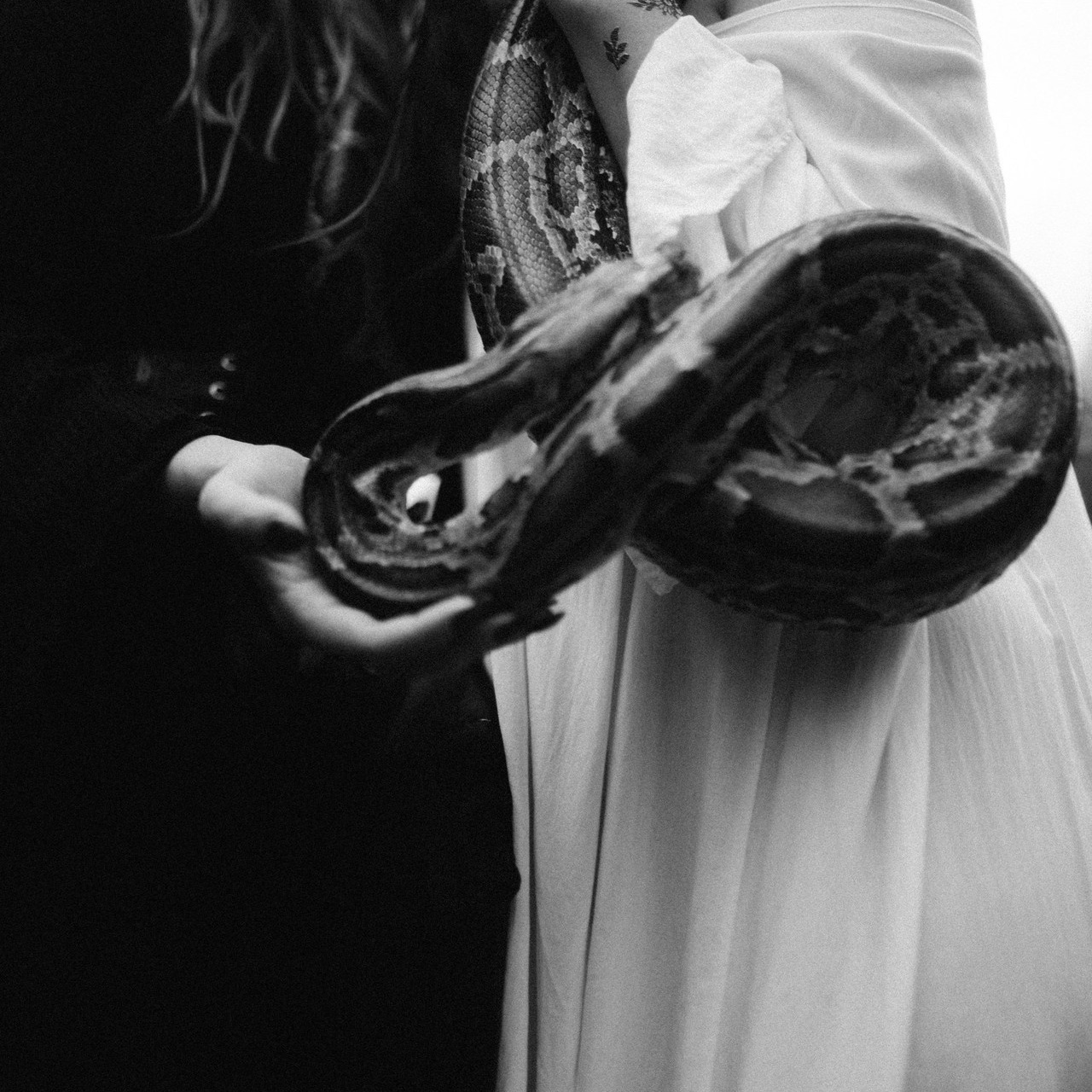 Отзывы. Фотограф Санкт-Петербург, Новороссийск