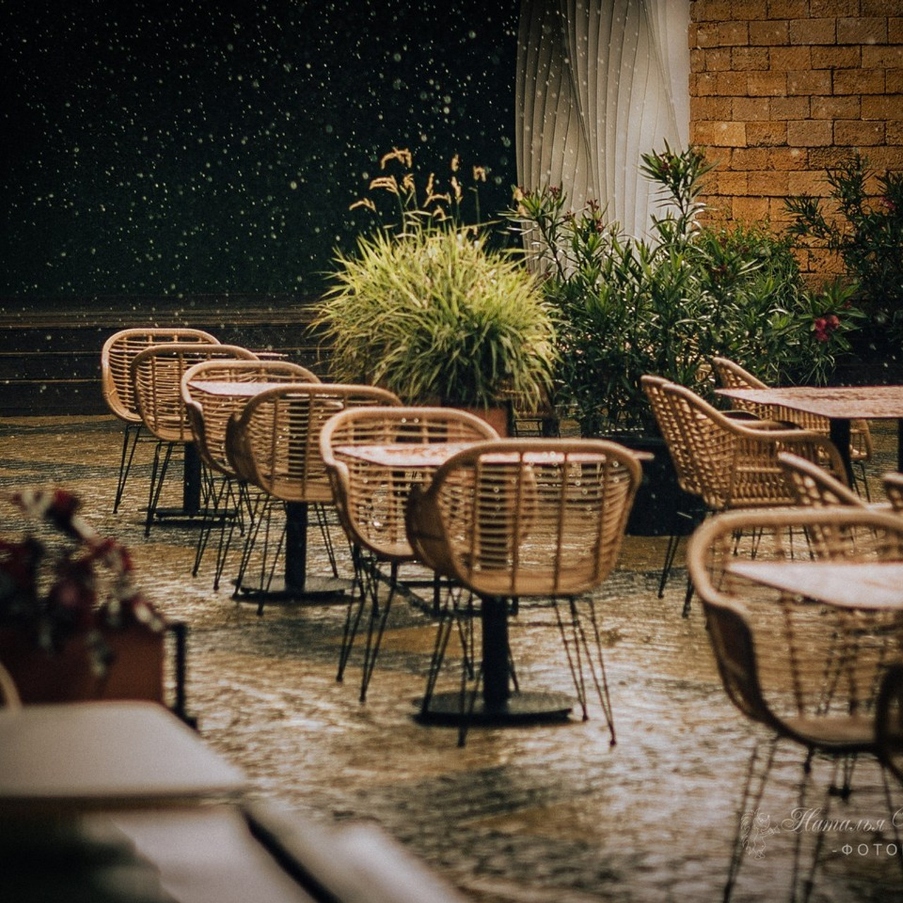 Отзывы. Свадебный, семейный, контент и портрет фотограф в Ростове-на-Дону Наталь