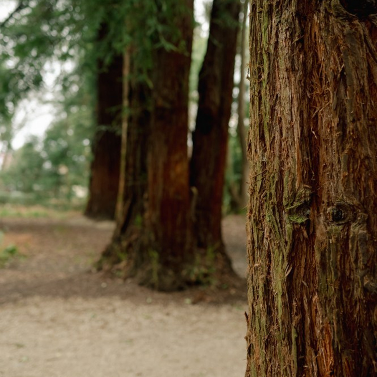 Отзывы. Свадебный, семейный, контент и портрет фотограф в Ростове-на-Дону Наталь