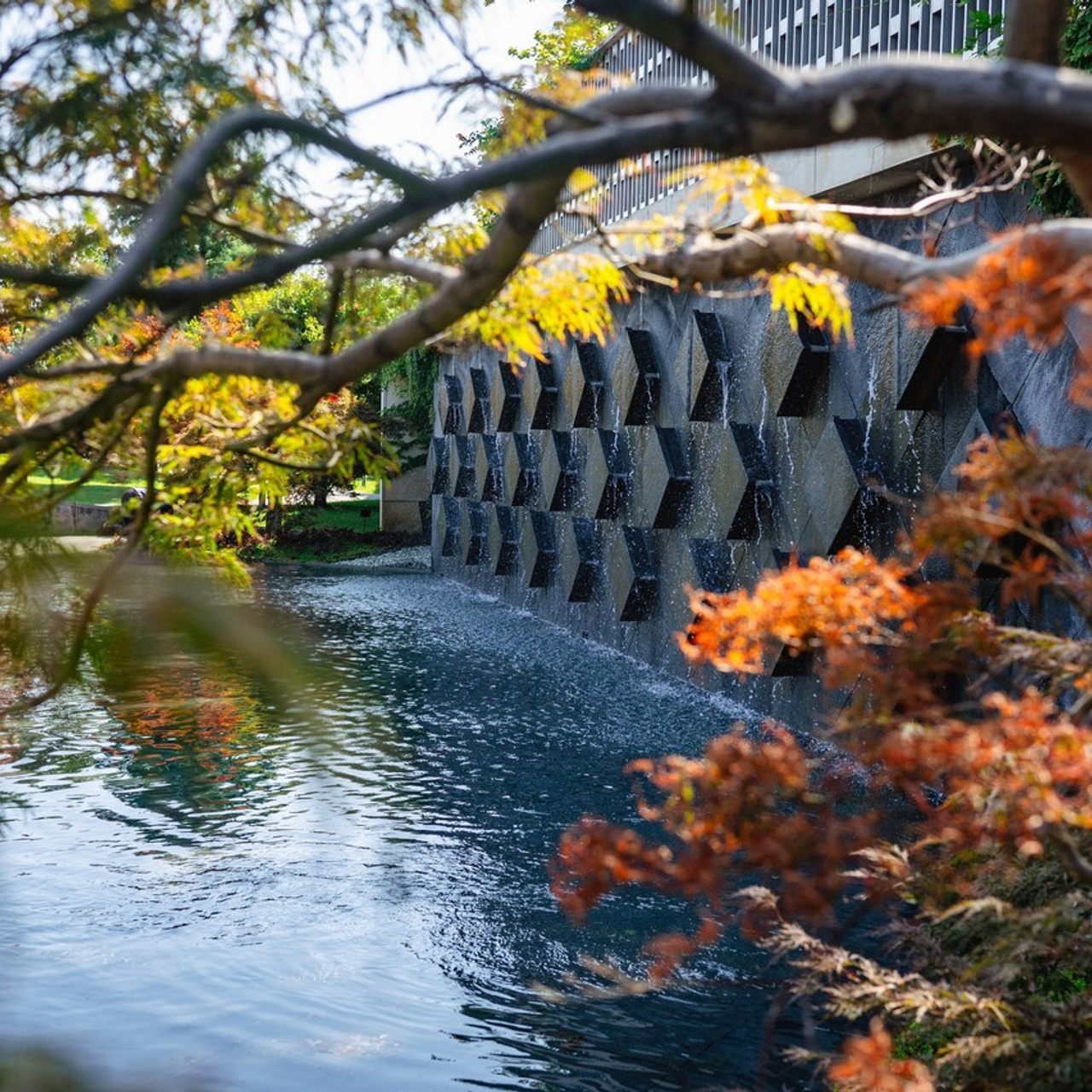 Отзывы. Свадебный, семейный, контент и портрет фотограф в Ростове-на-Дону Наталь