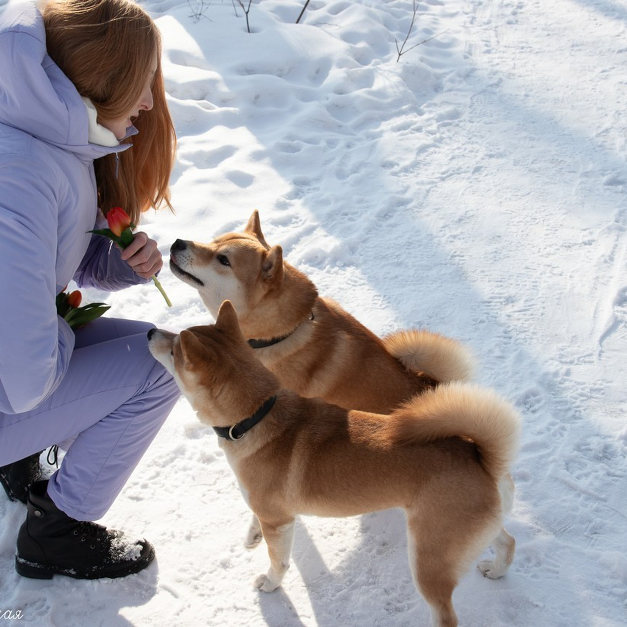 Отзывы. Семейный и школьный фотограф в Тюмени Елена Бузиновская