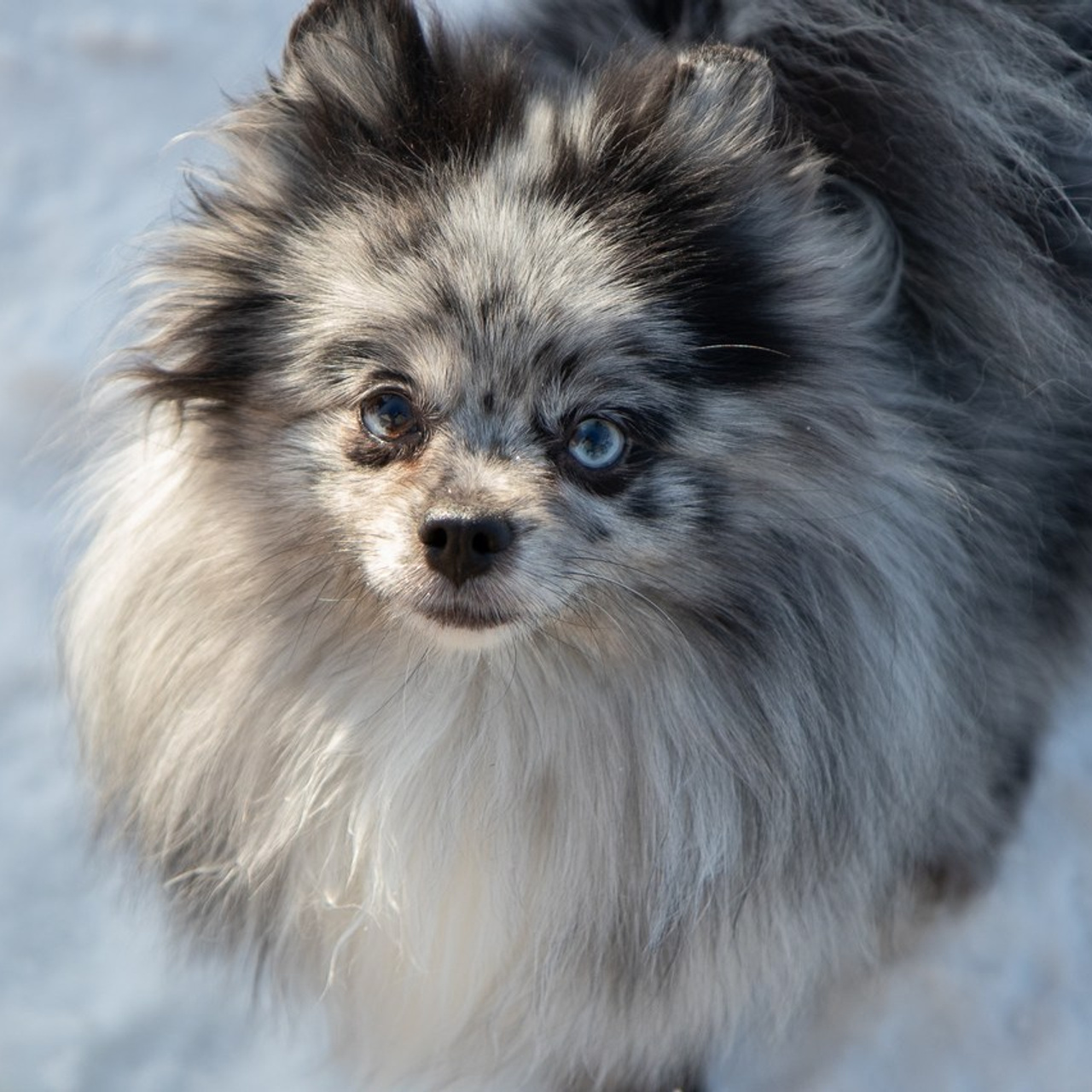 Отзывы. Семейный и школьный фотограф в Тюмени Елена Бузиновская