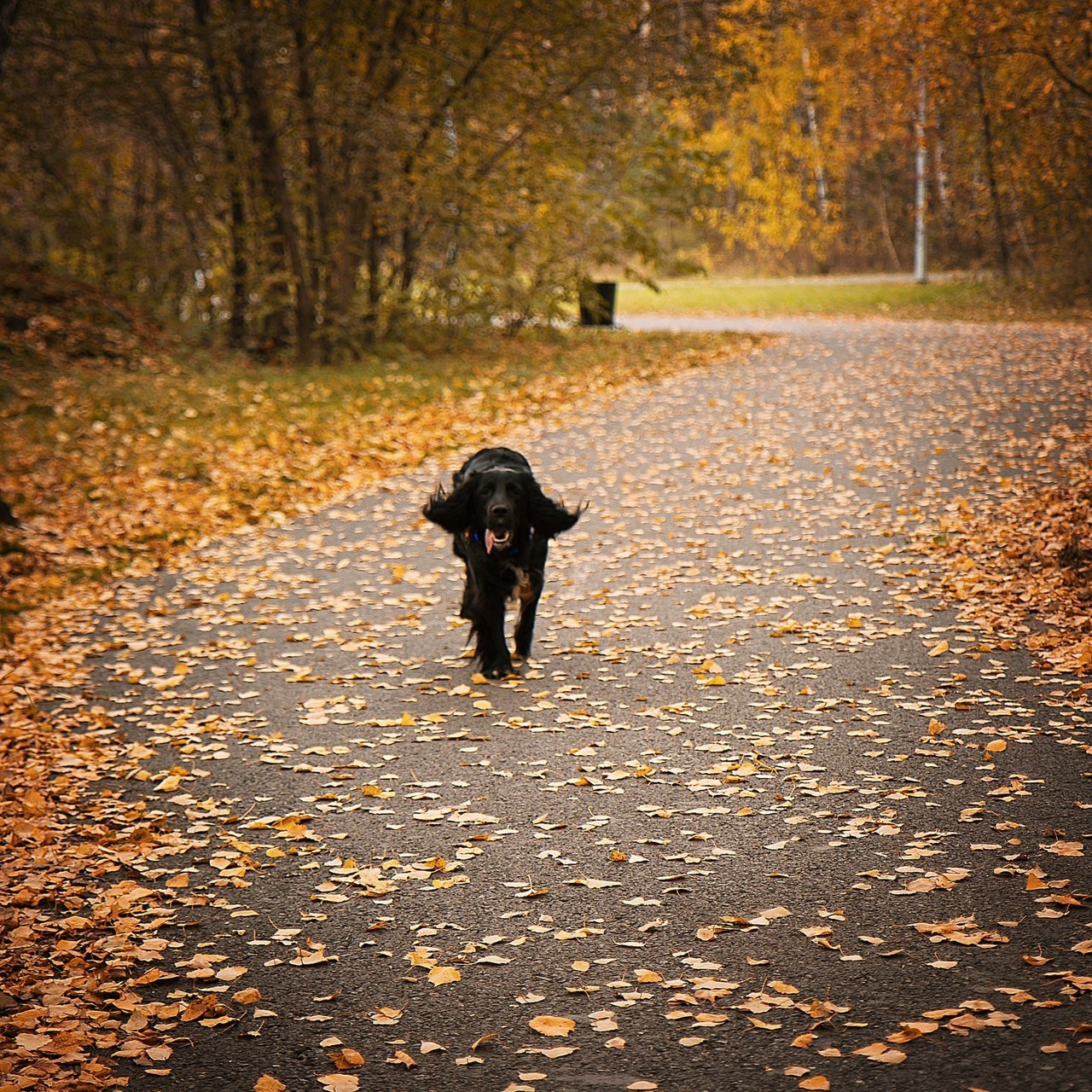 Отзывы. Семейный и школьный фотограф в Тюмени Елена Бузиновская