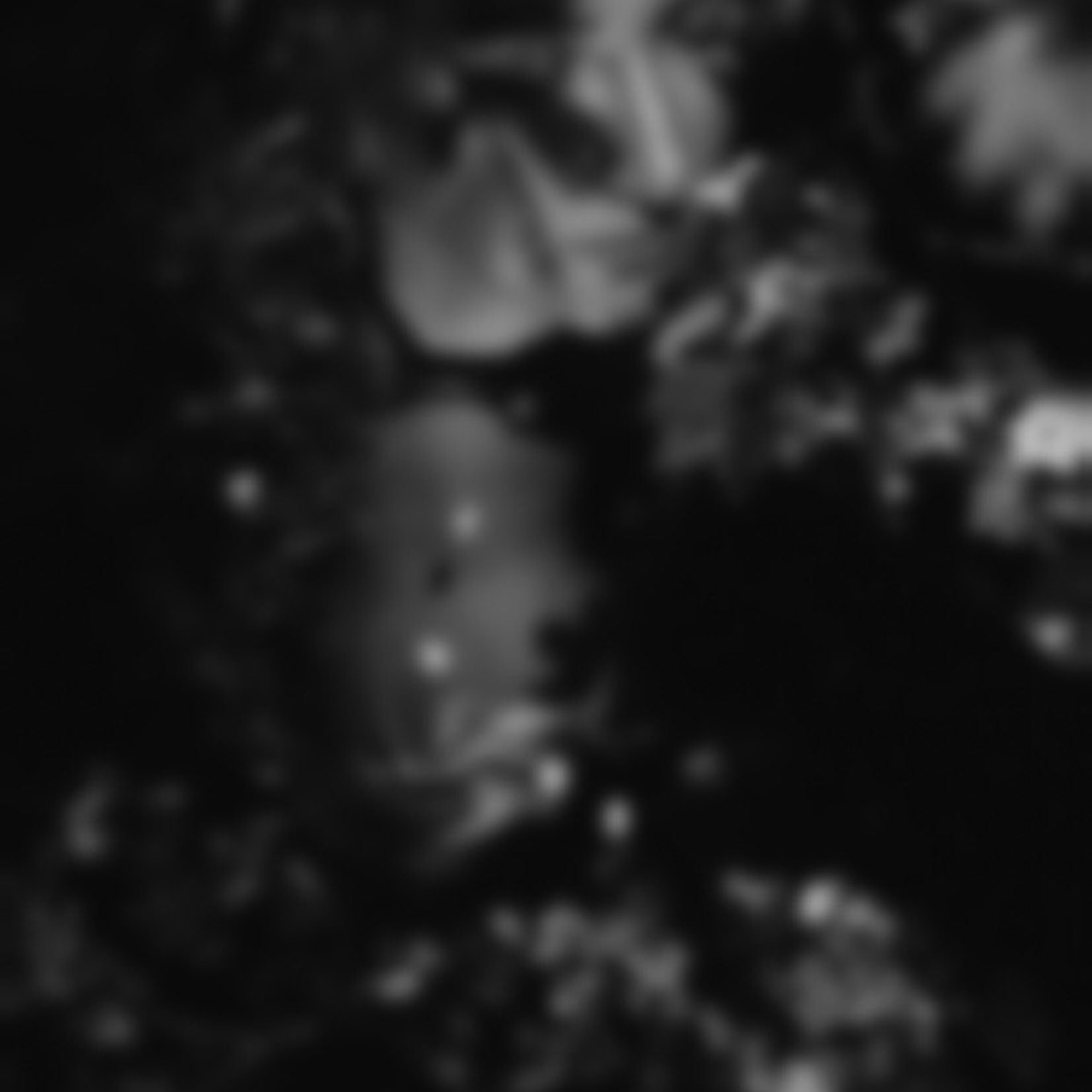 Отзывы о фотосессии, слова о фотосессии, рекомендации фотографа. Фотограф Лера Макфлай в Саратове и Красной Поляне (Сочи)