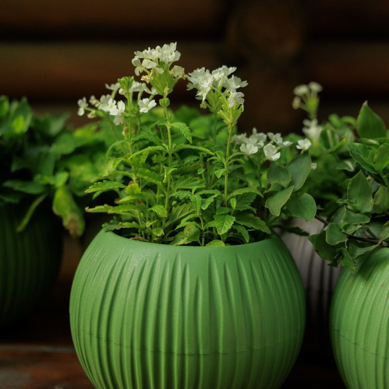 Отзывы. Семейный и детский фотограф Ростов-на-Дону