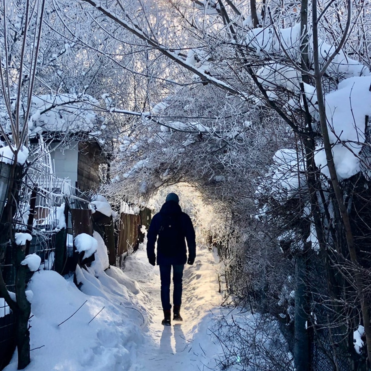 Мобильное фото