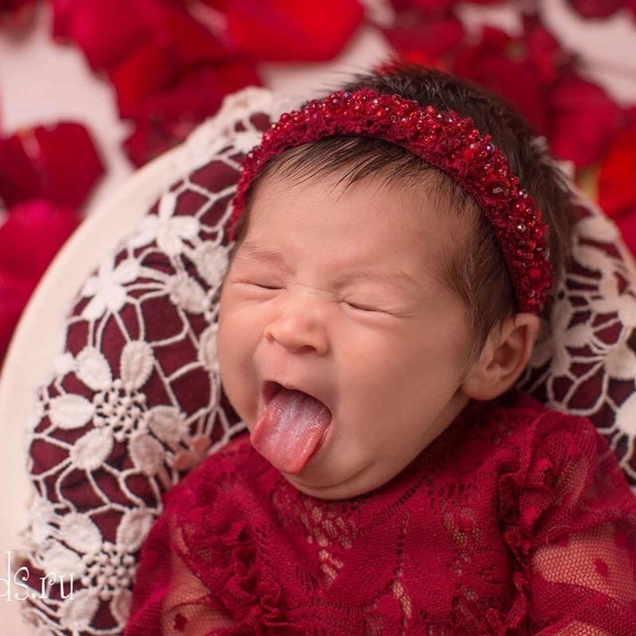 Отзывы. Фотограф новорожденных в Екатеринбурге Анастасия Быдзина