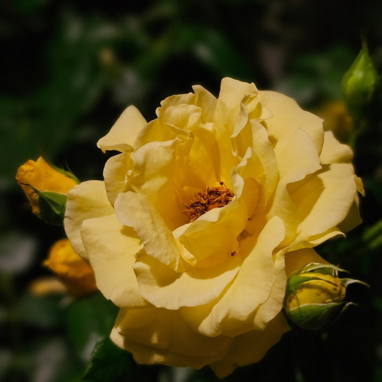 Отзывы. MEMENTO.Выпускные альбомы, школьные, юбилейные и другие книги. Ростов-на-Дону