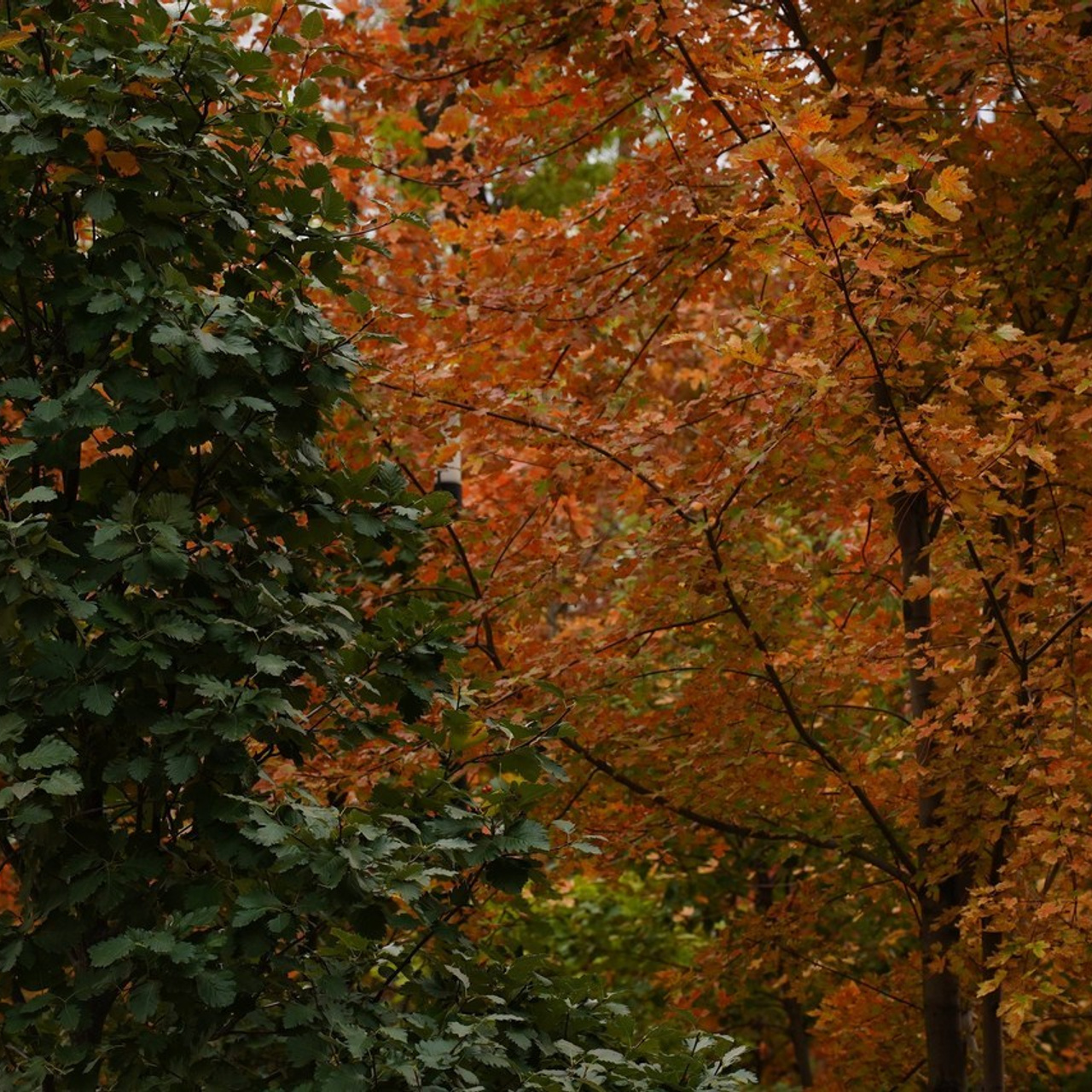 Отзывы. MEMENTO.Выпускные альбомы, школьные, юбилейные и другие книги. Ростов-на-Дону