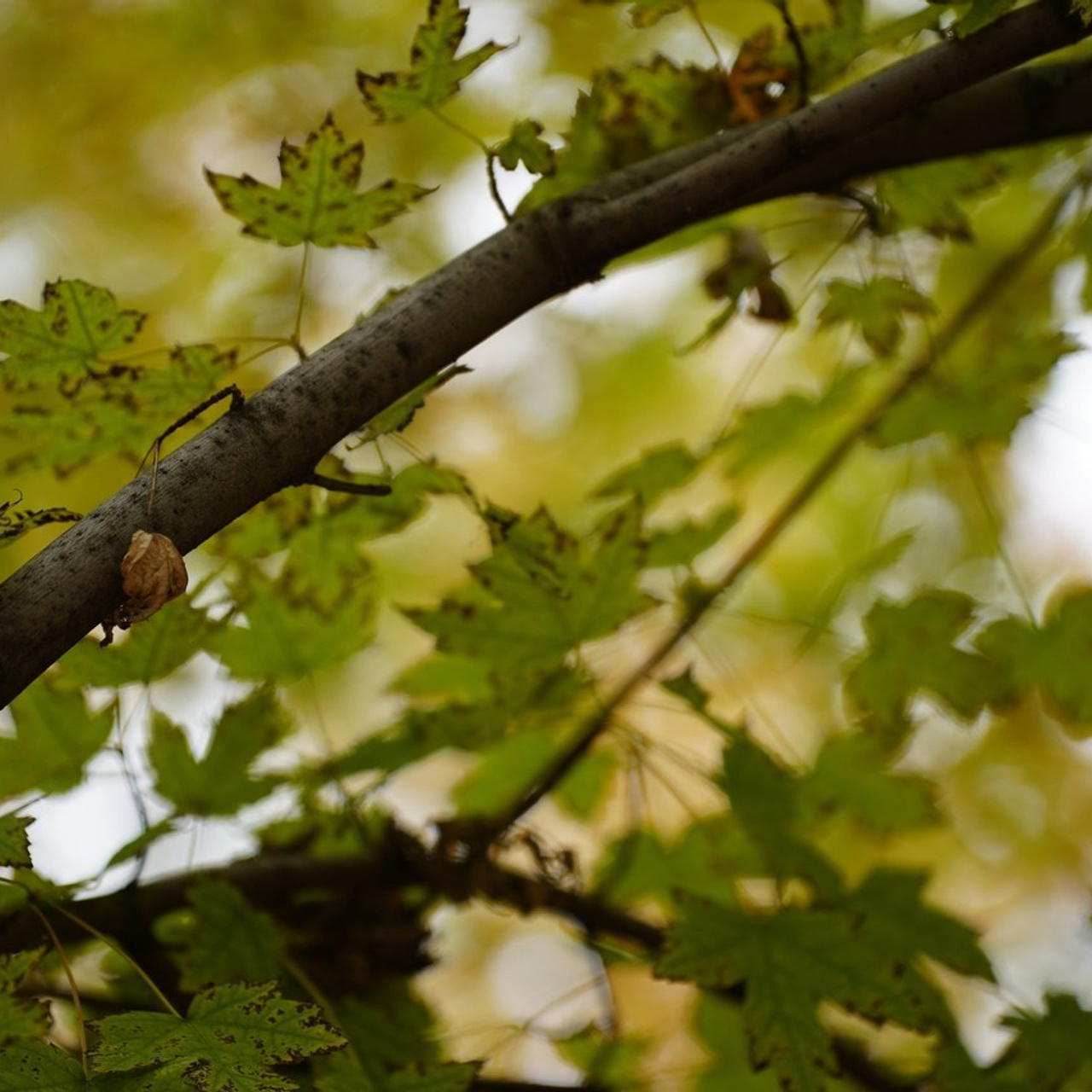 Отзывы. MEMENTO.Выпускные альбомы, школьные, юбилейные и другие книги. Ростов-на-Дону