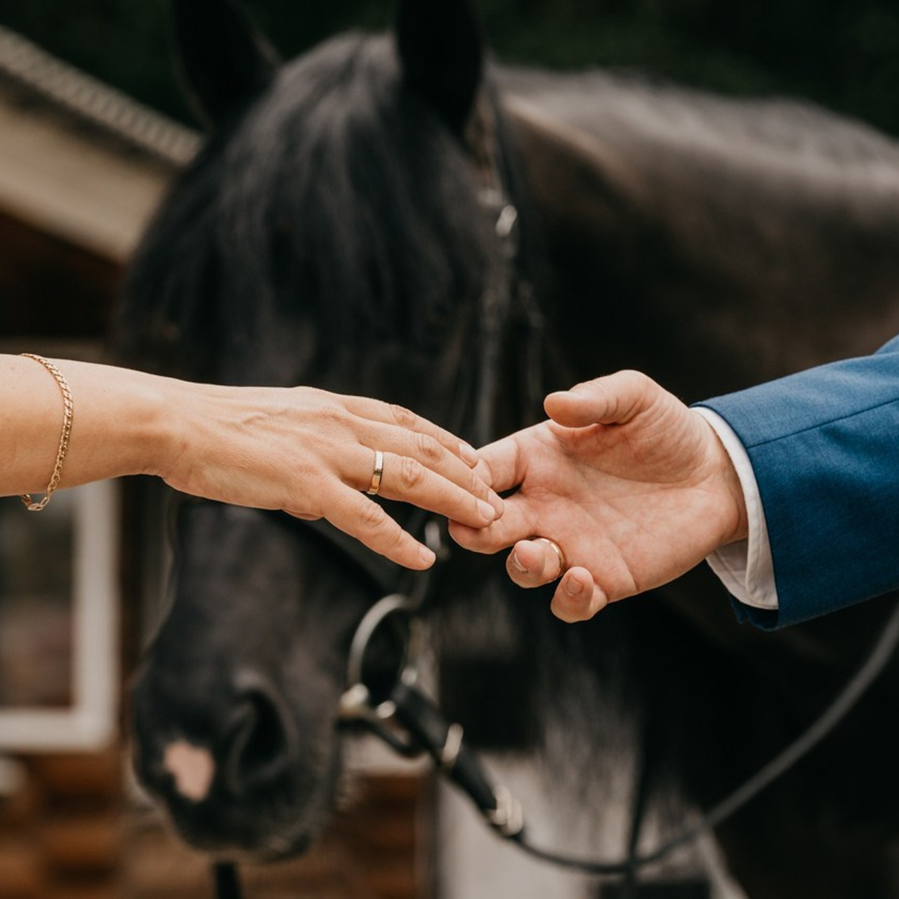 Отзывы. Андрей Троицкий фотограф&видеограф в Москве