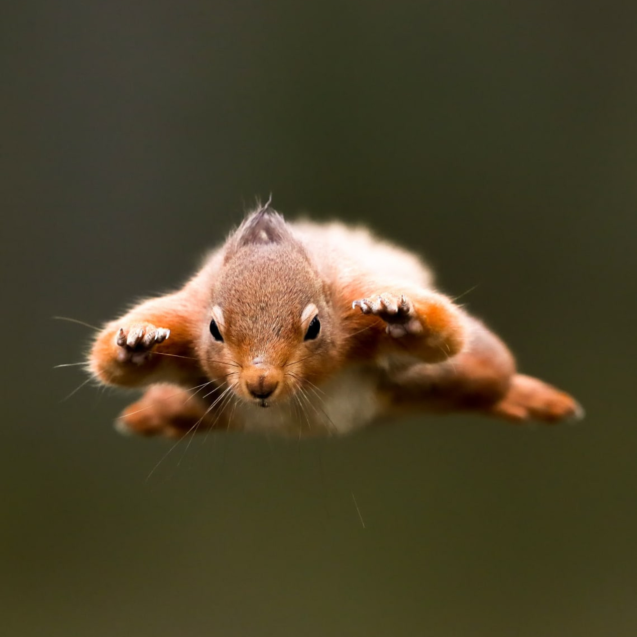 Отзывы о фотографе Мячиковой Наталье. Детский и семейный фотограф в Нижнем Новгороде Мячикова Наталья