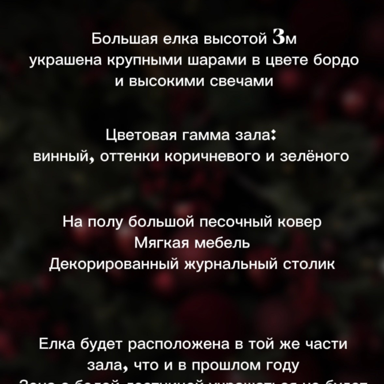 Новогодние съемки 2025/2026. Меркулова Ольга фотограф Воронеж