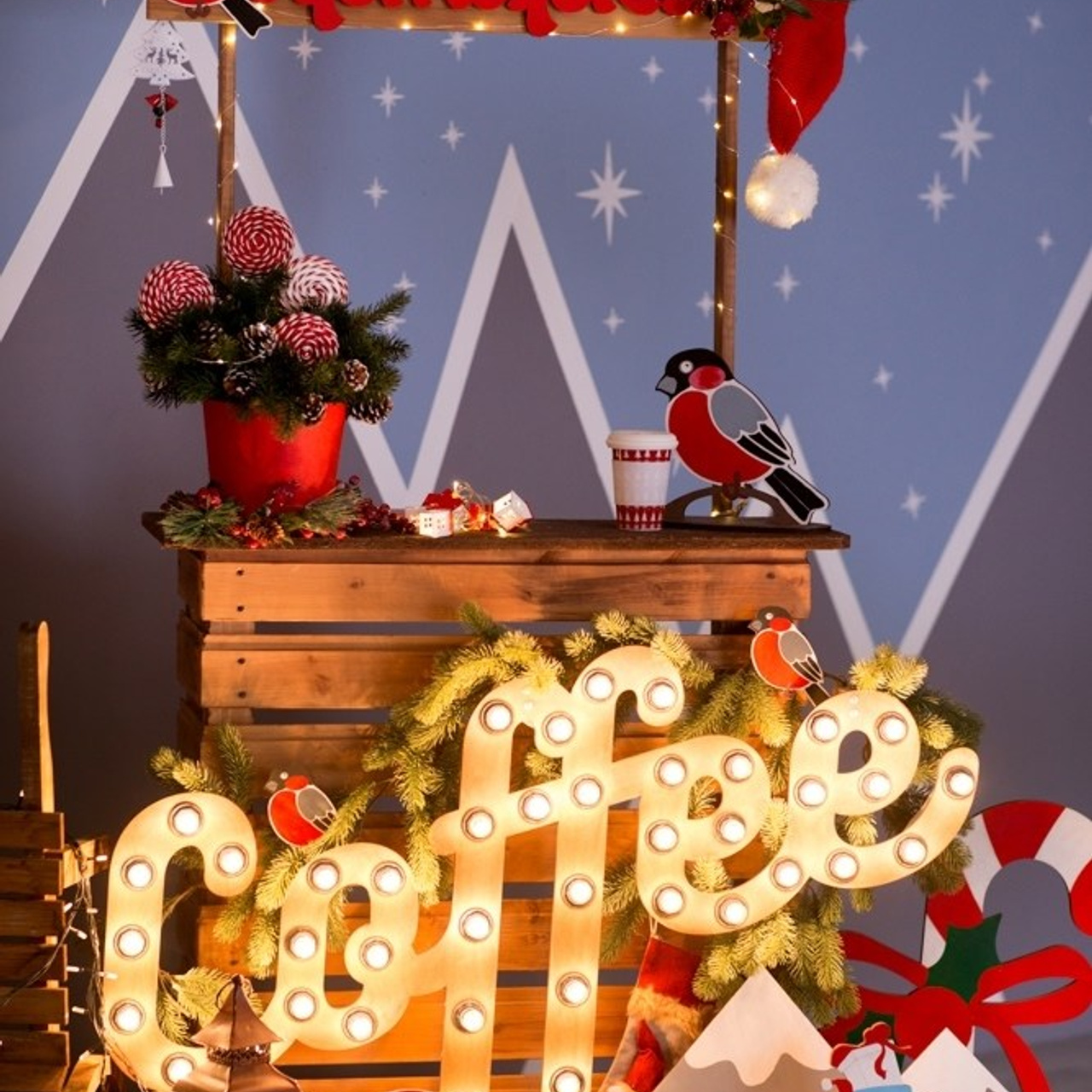 Новогодние съемки 2025/2026. Меркулова Ольга фотограф Воронеж