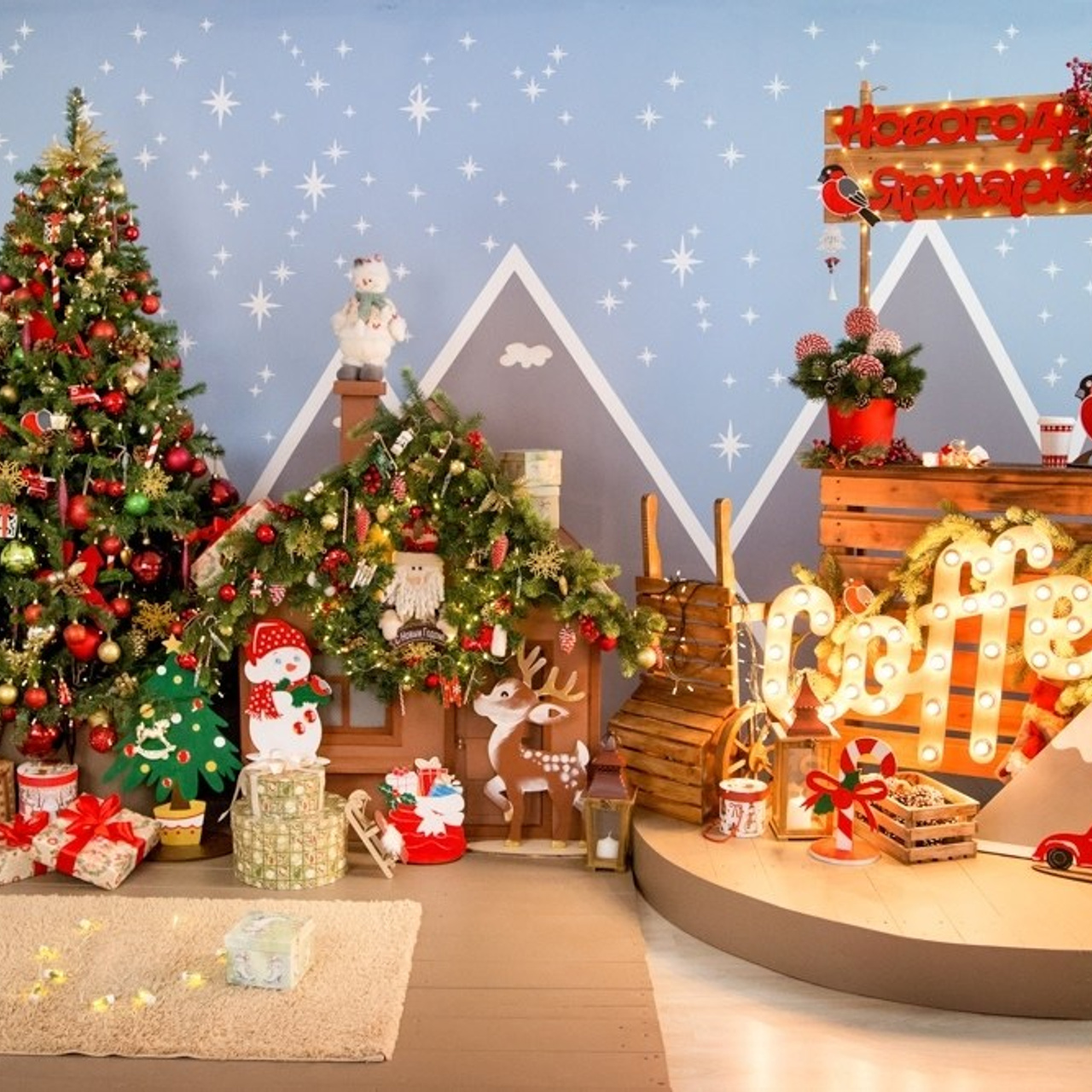 Новогодние съемки 2025/2026. Меркулова Ольга фотограф Воронеж