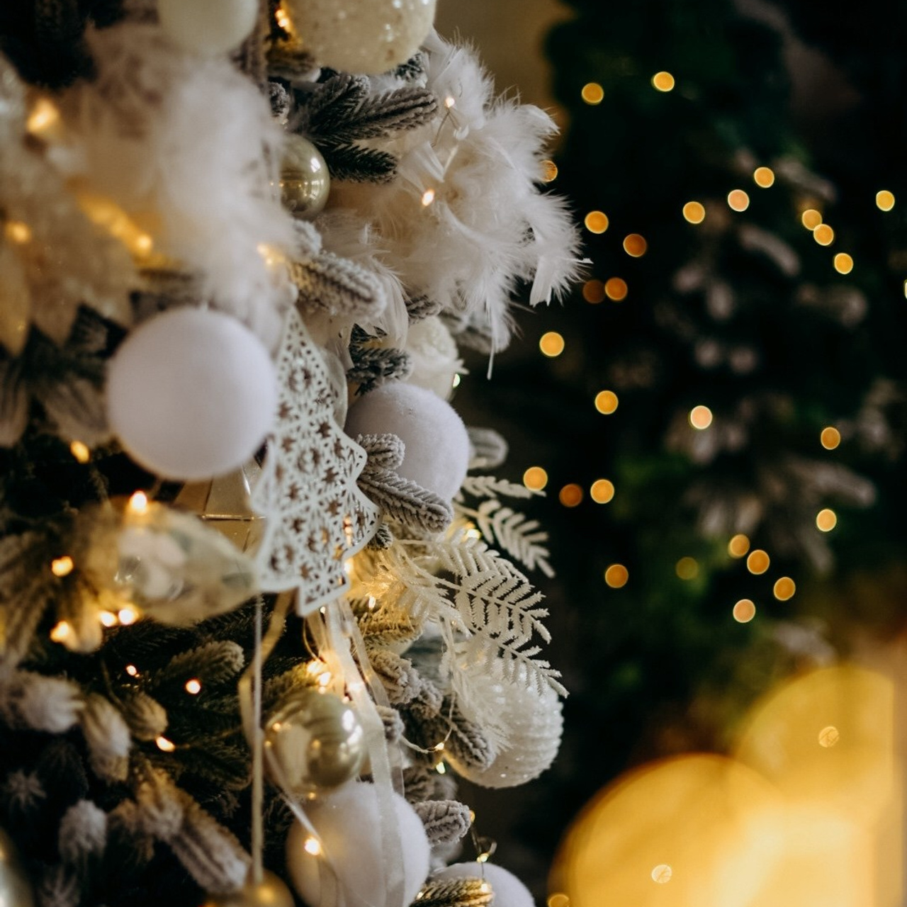 Новогодние съемки 2025/2026. Меркулова Ольга фотограф Воронеж