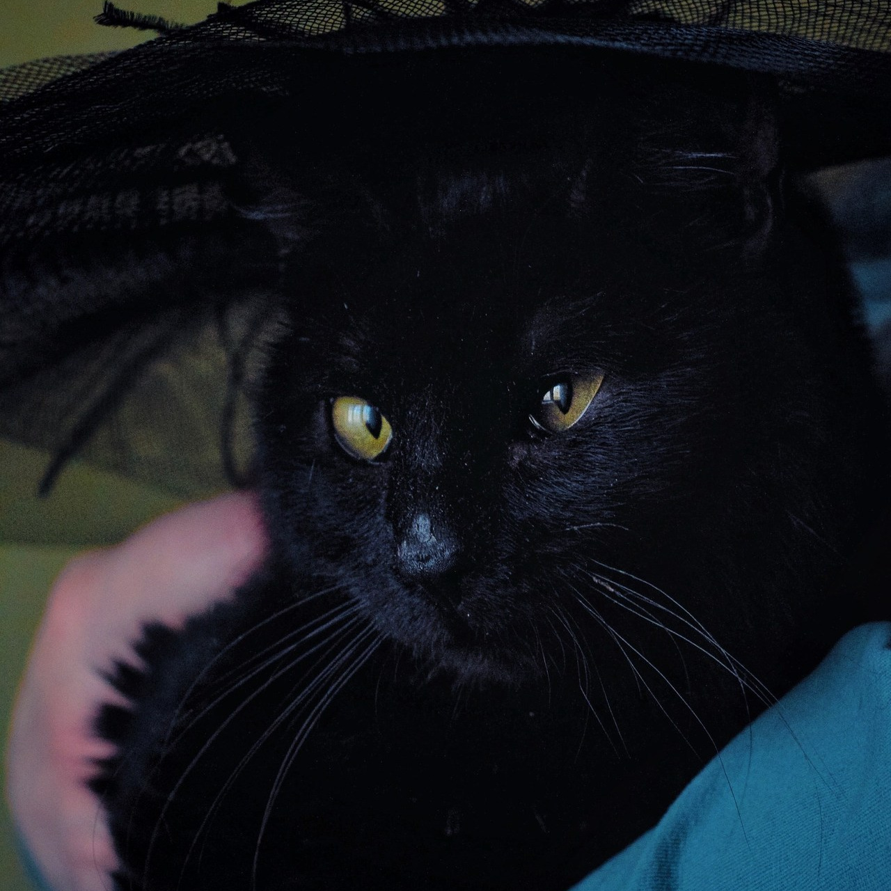 Отзывы. Фотограф Евгения Никишина