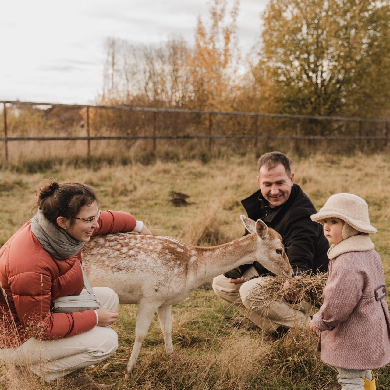 Отзывы о фотографе. Фотограф Алена Малинина в Санкт-Петербурге Пушкин Питер СПб Семейные и детские фотосессии