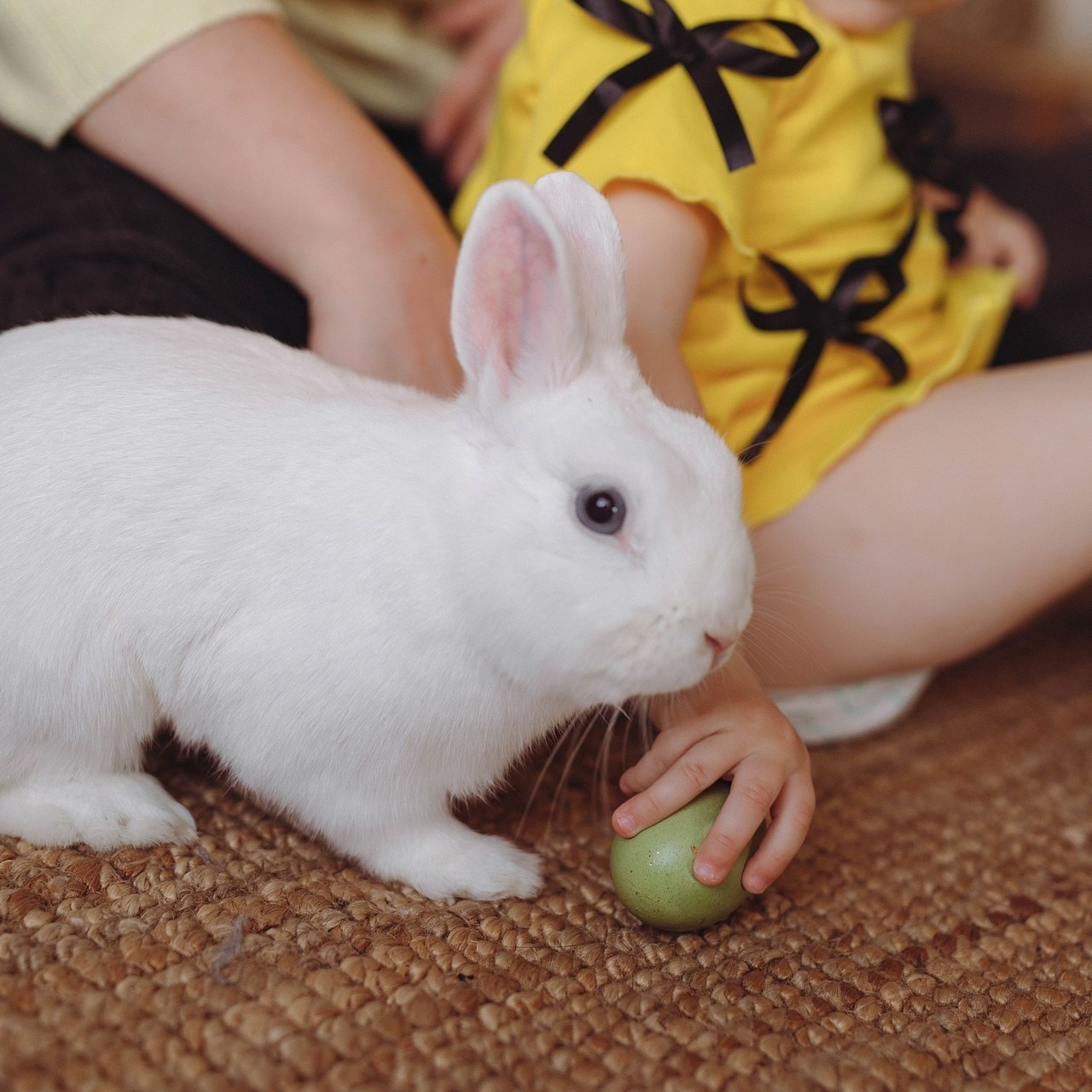 Отзывы. Фотограф Светлана Голицына
